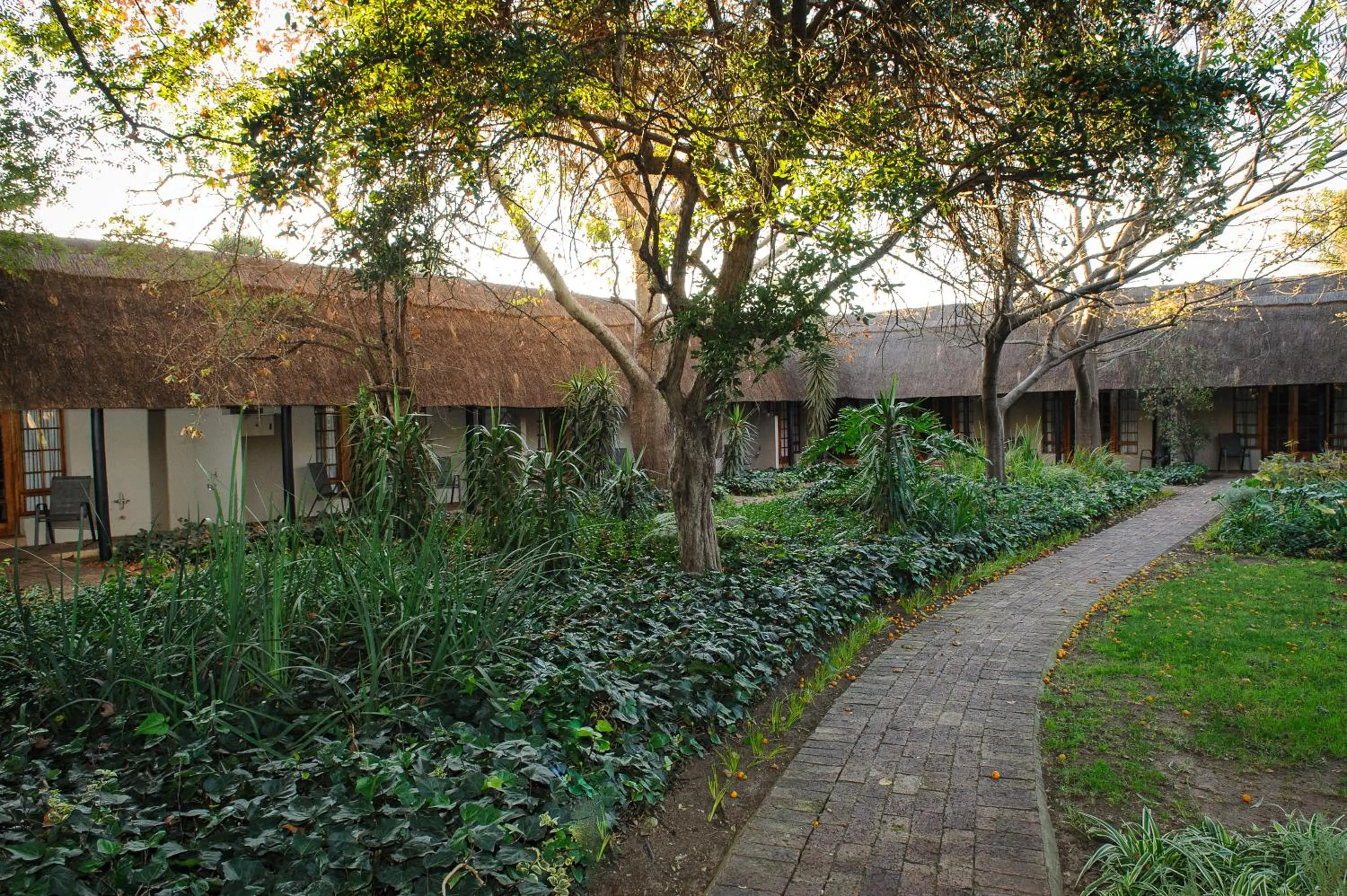 Property building in Safari Club Guest Lodge OR Tambo International Airport