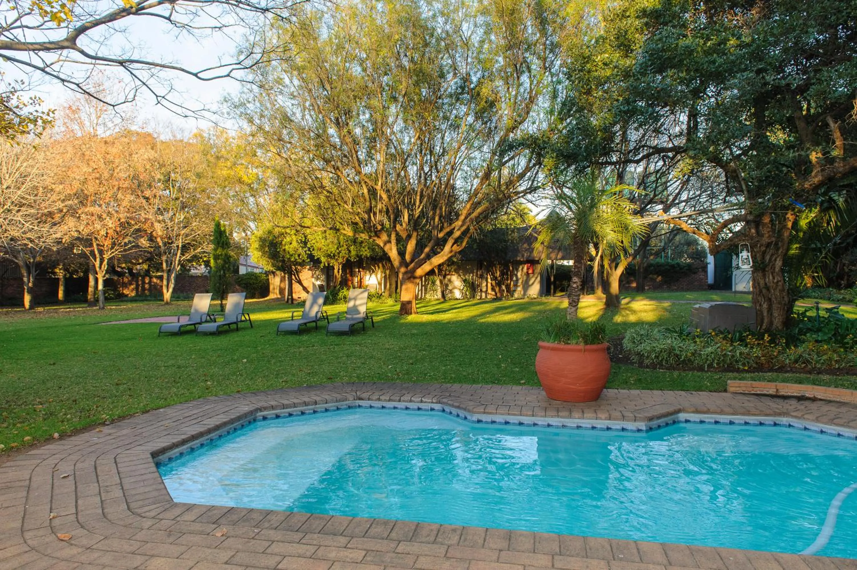 Swimming pool in Safari Club Guest Lodge OR Tambo International Airport