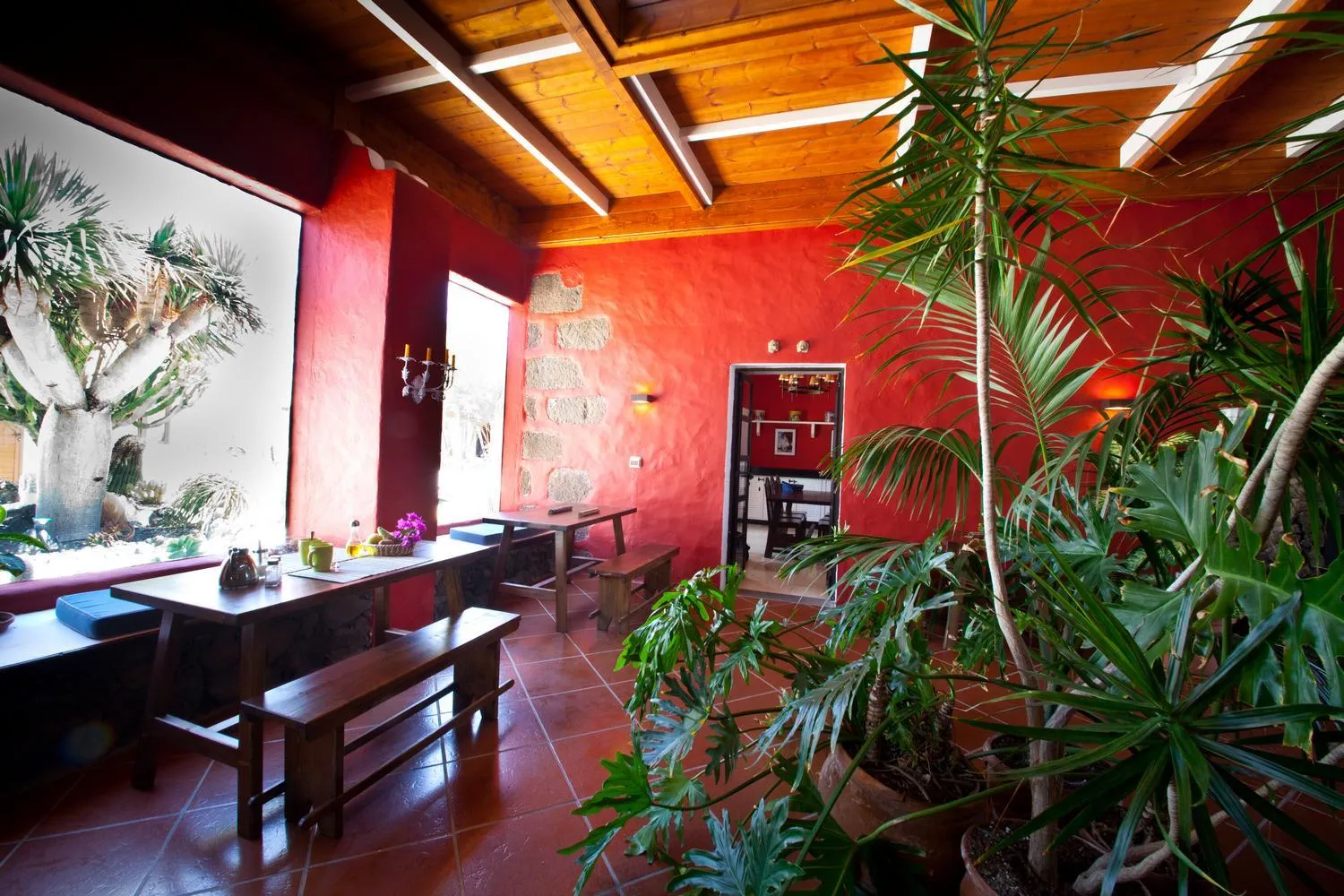 Restaurant/places to eat in Casa de Hilario