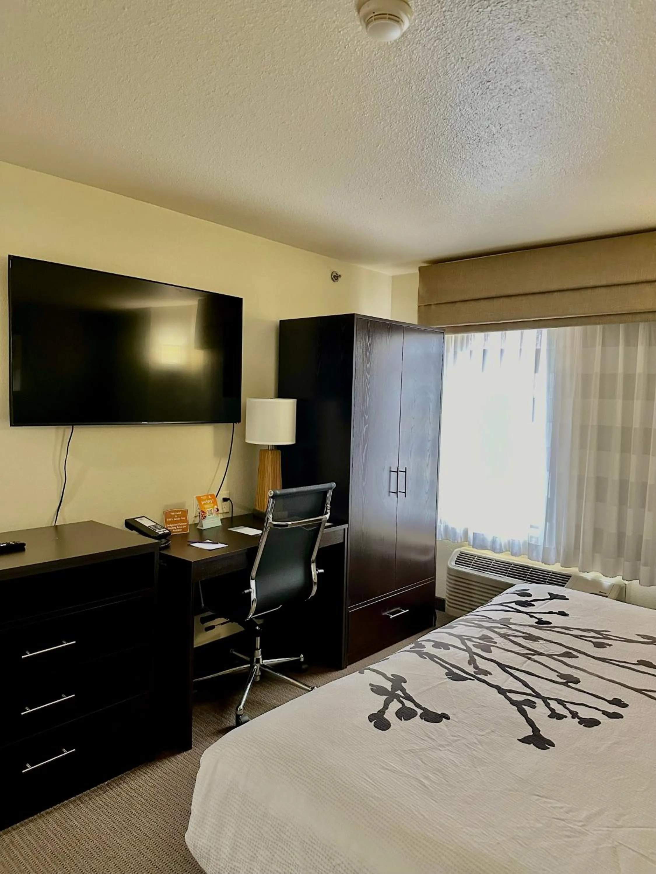 TV and multimedia, Bed in Sleep Inn & Suites Tulsa Central I-44