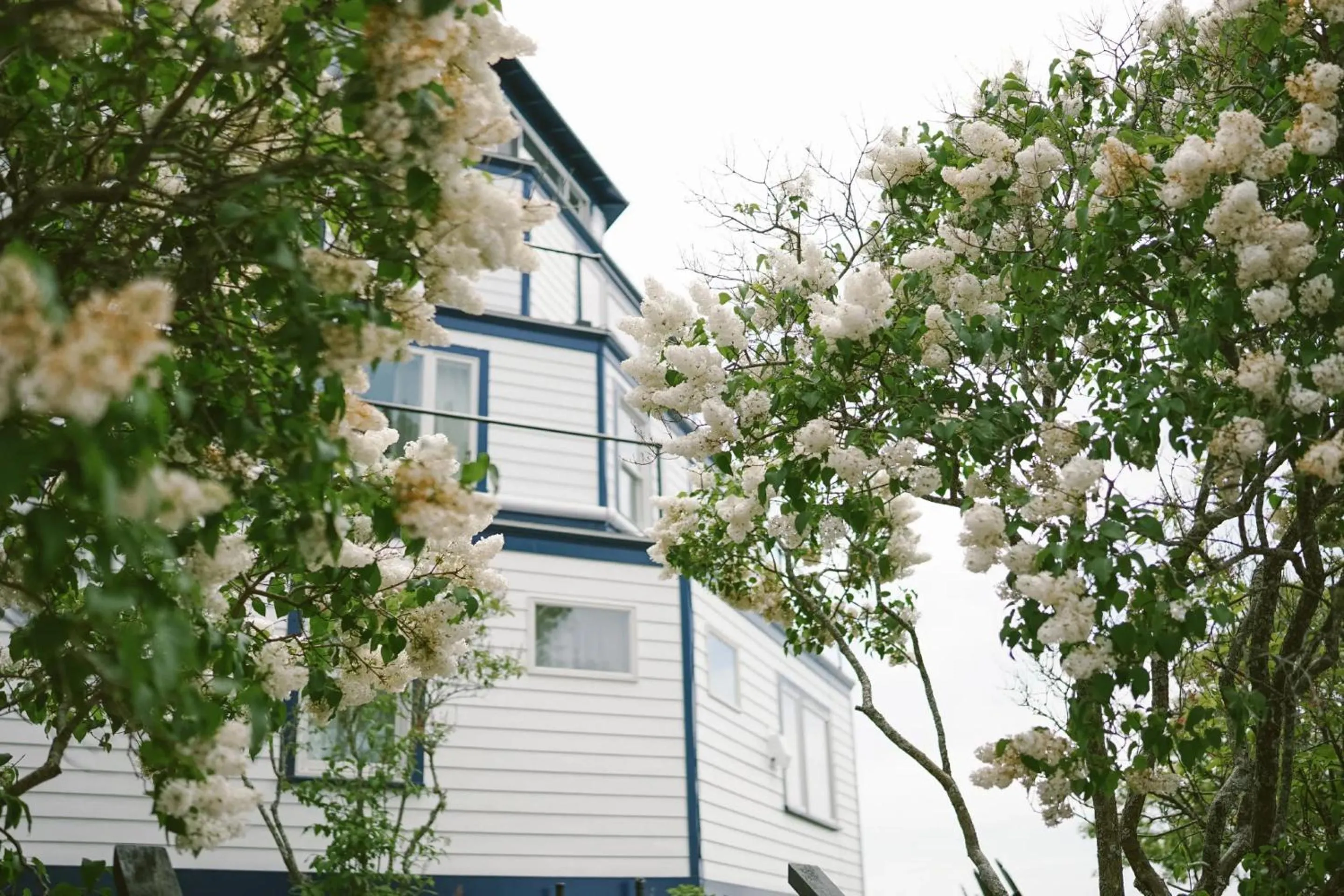 Property building in Sebasco Harbor Resort & Golf Club