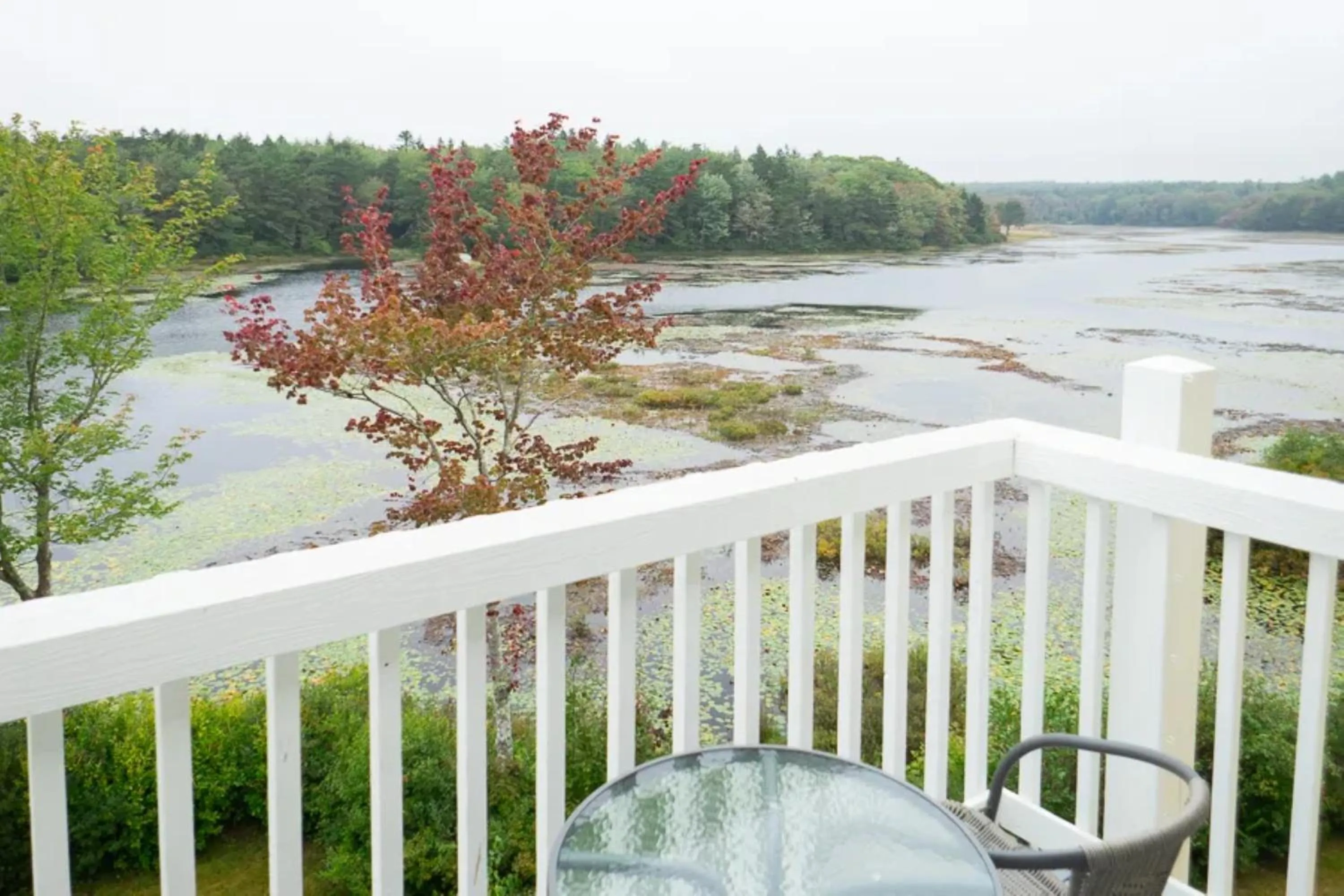 View (from property/room) in Sebasco Harbor Resort & Golf Club