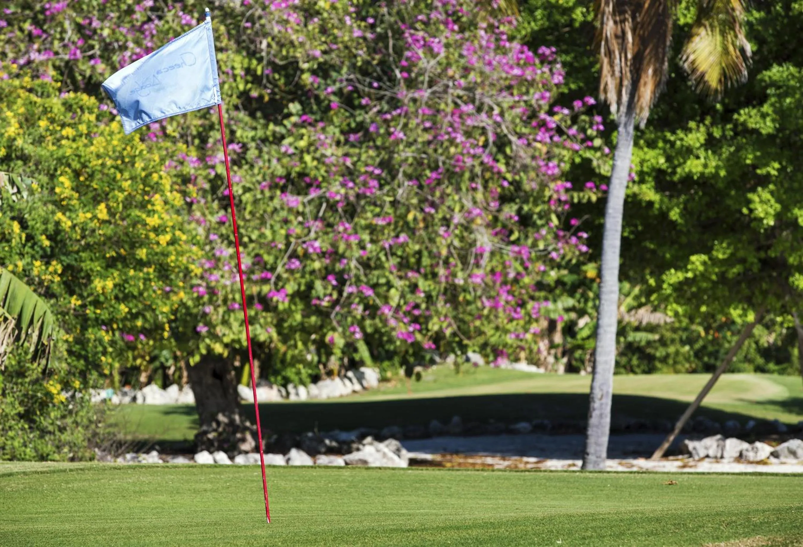 Golfcourse in Cheeca Lodge & Spa