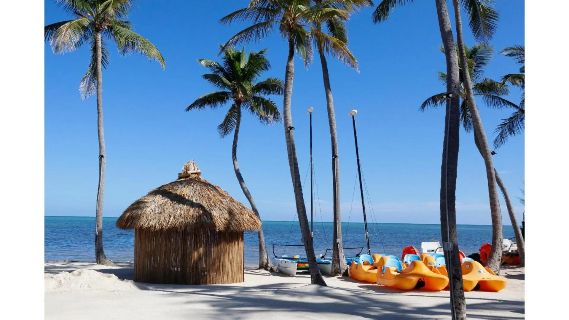 Beach in Cheeca Lodge & Spa