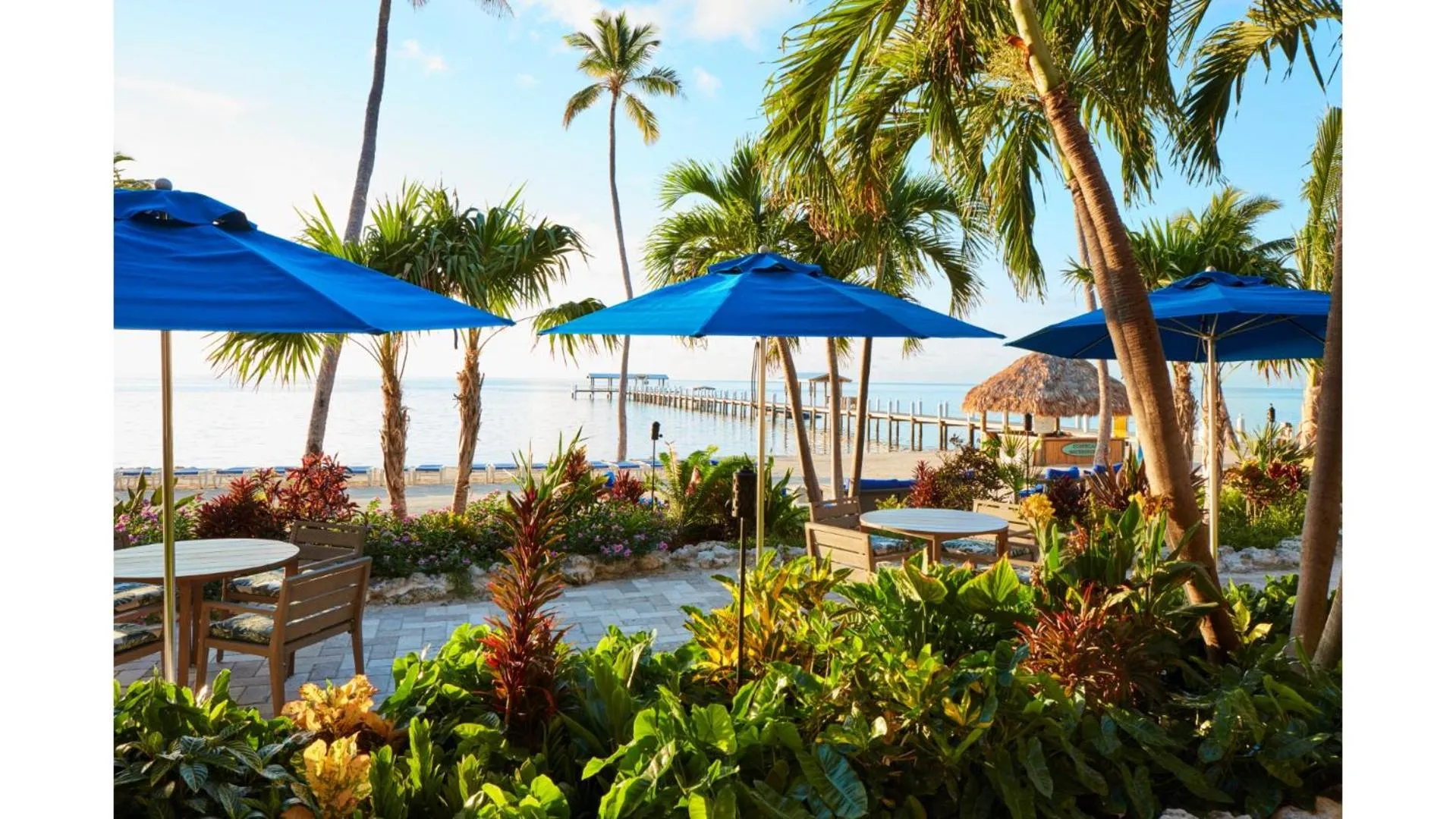 Food and drinks in Cheeca Lodge & Spa