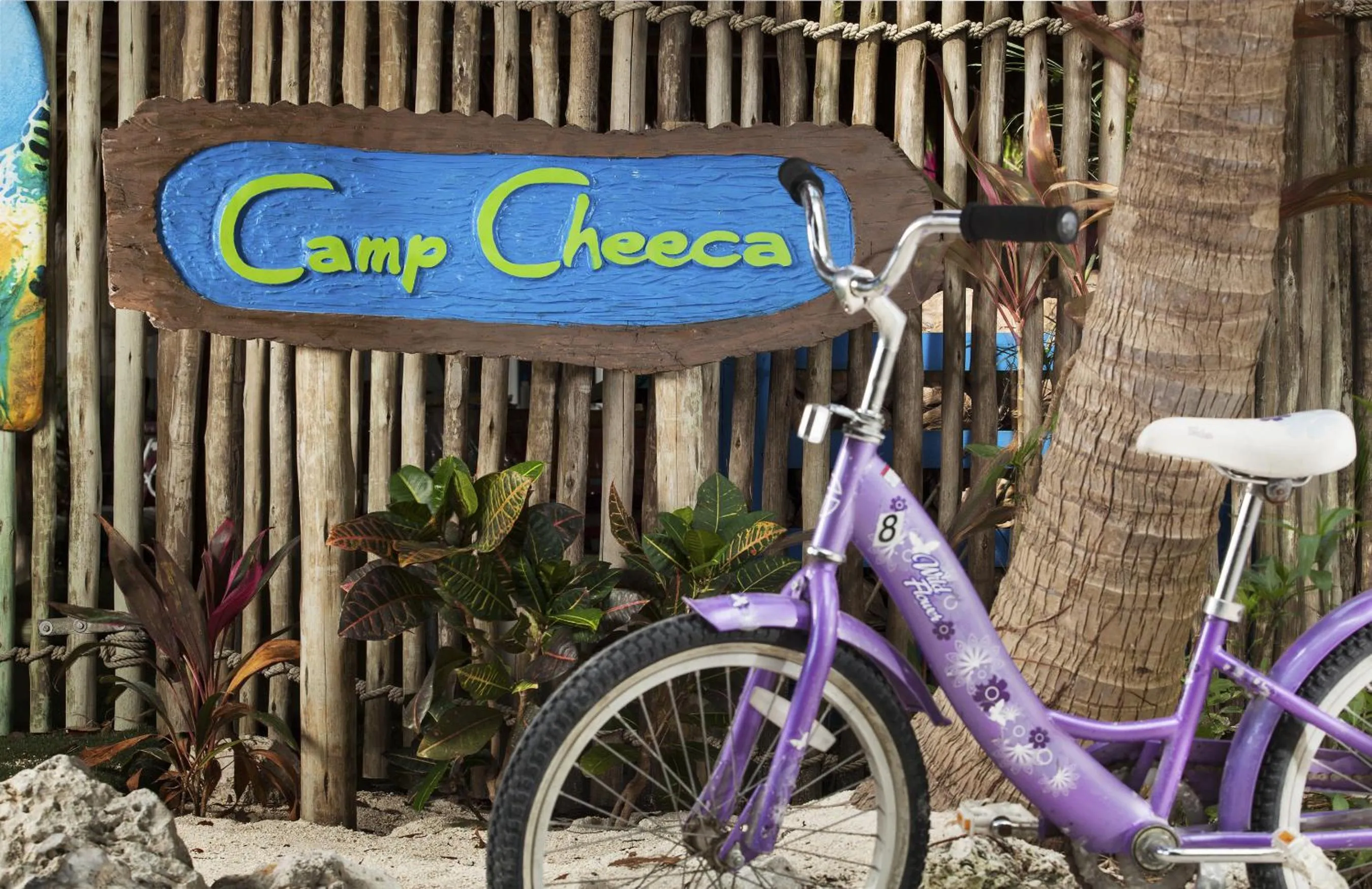 Area and facilities in Cheeca Lodge & Spa