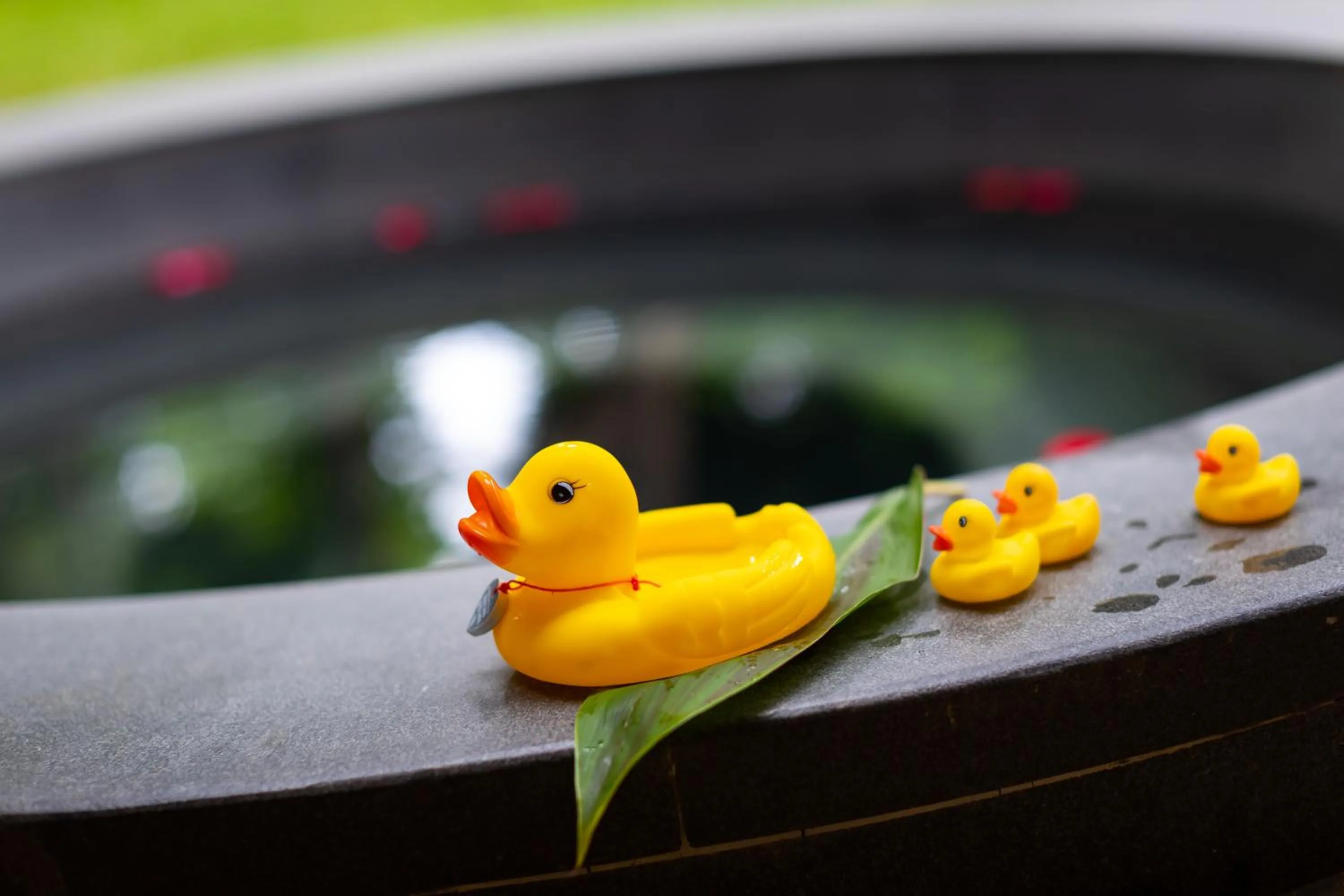 Swimming pool in Narada Resort & Spa Perfume Bay Sanya - All Villas