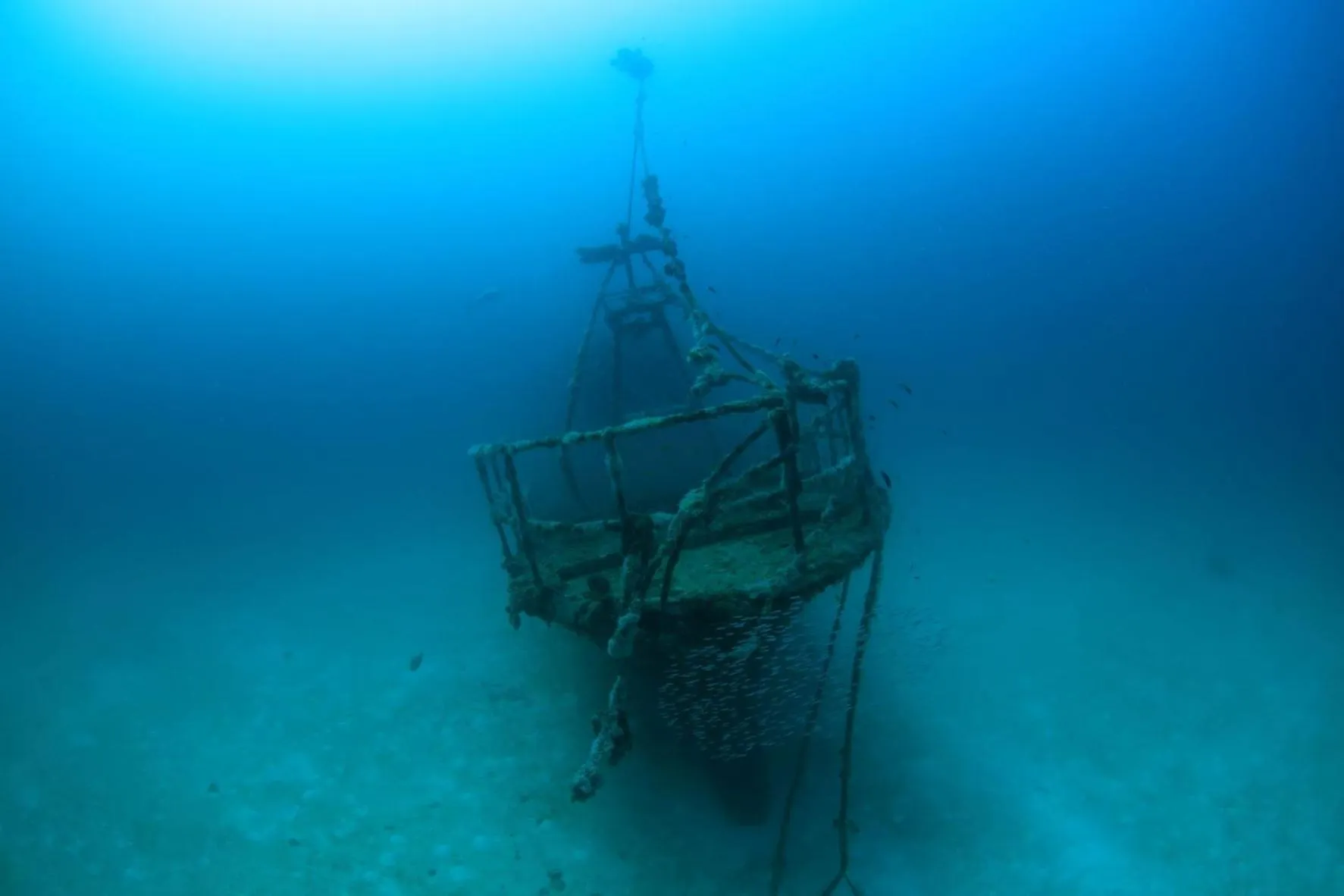 Diving in V Villas Maldives at Mirihi - MGallery Collection