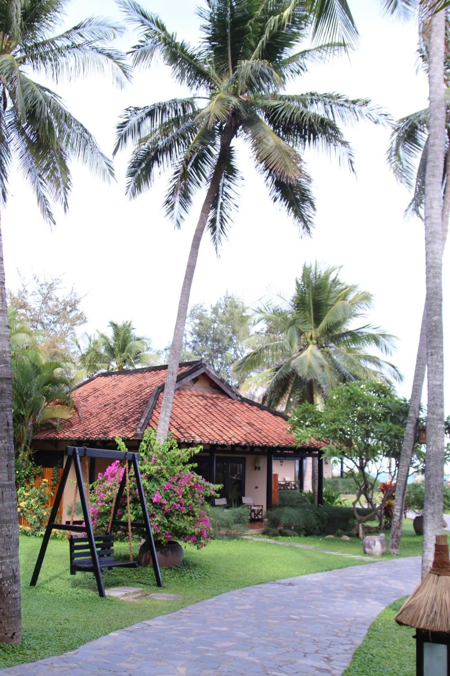 Garden view in Seahorse Resort & Spa
