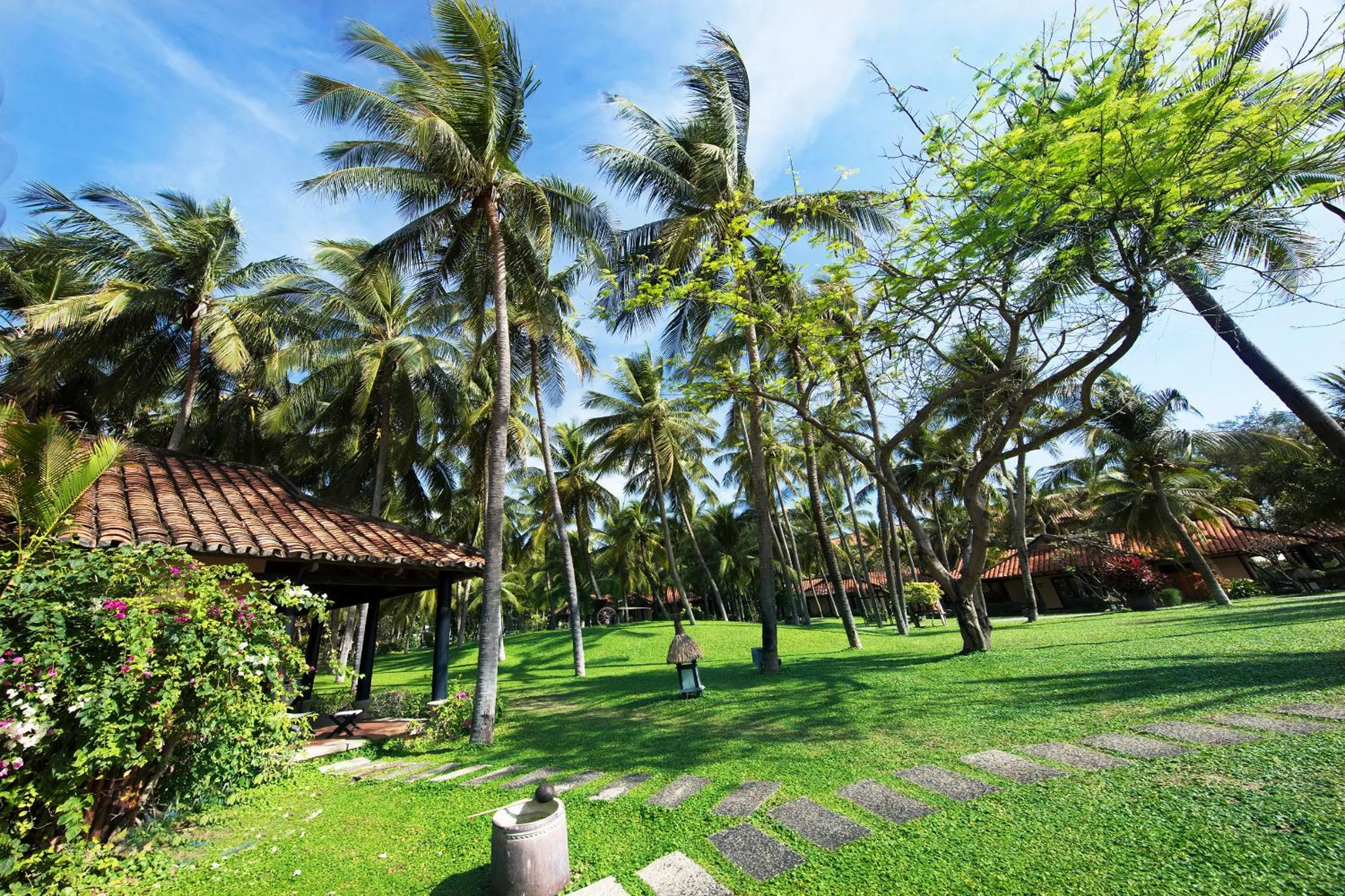 Garden in Seahorse Resort & Spa