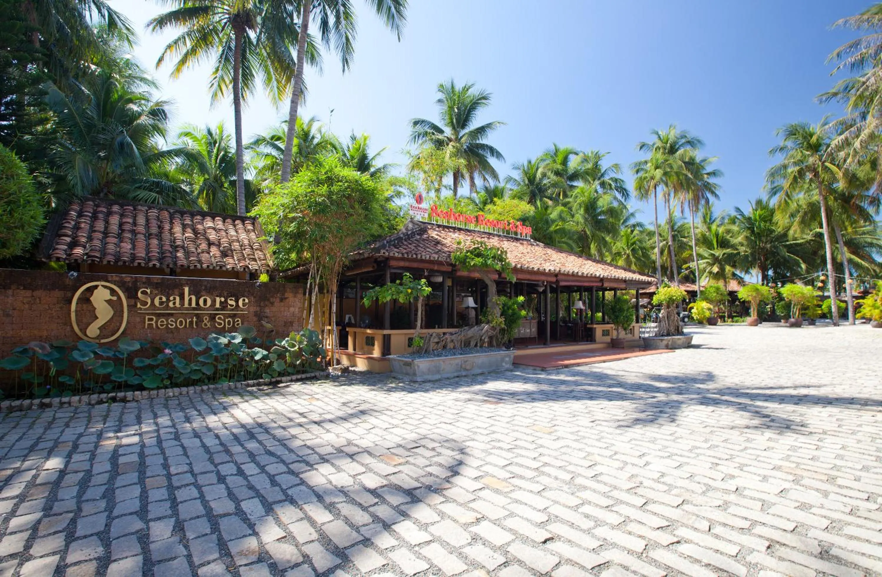 Bird's eye view in Seahorse Resort & Spa