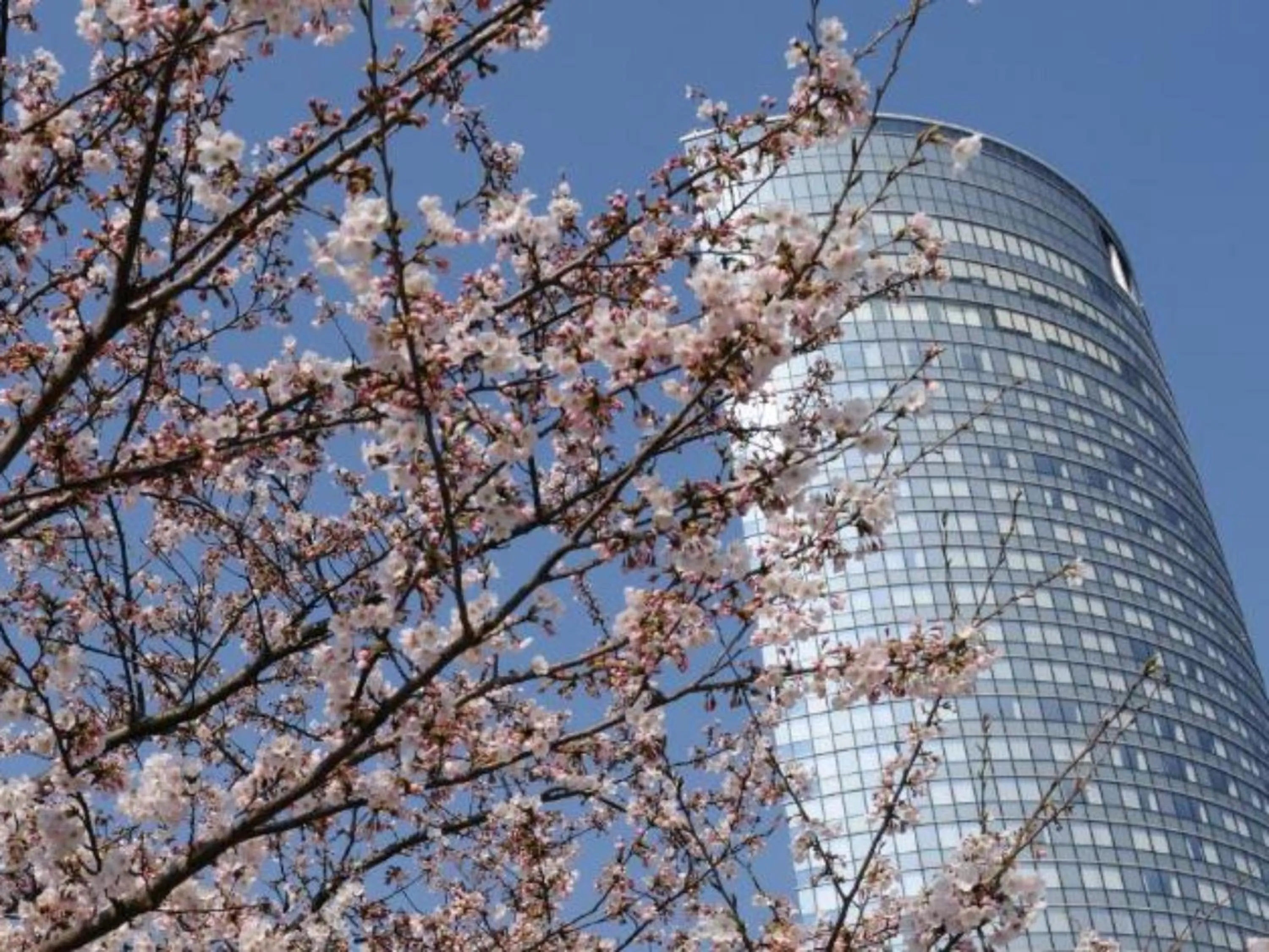 Natural landscape in Lake Biwa Otsu Prince Hotel