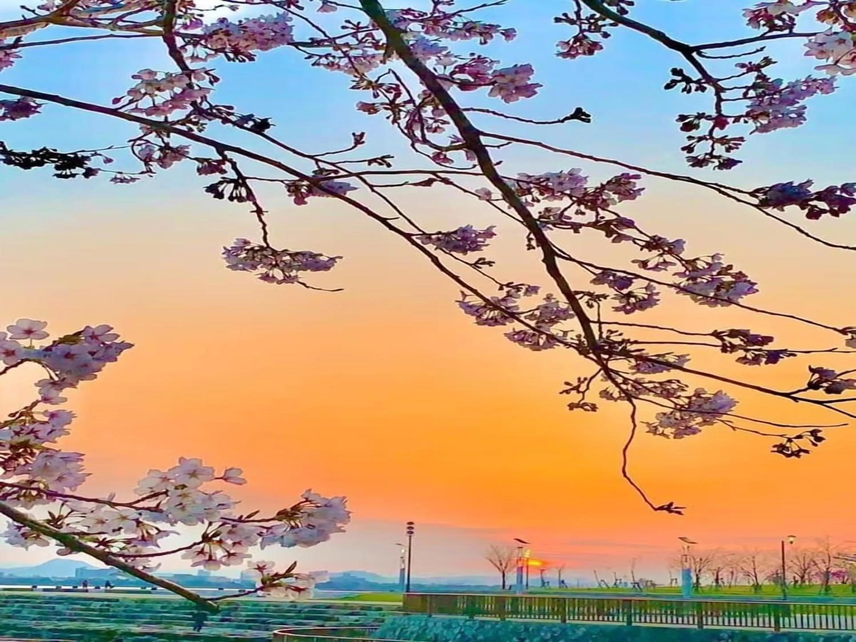 Natural landscape in Lake Biwa Otsu Prince Hotel