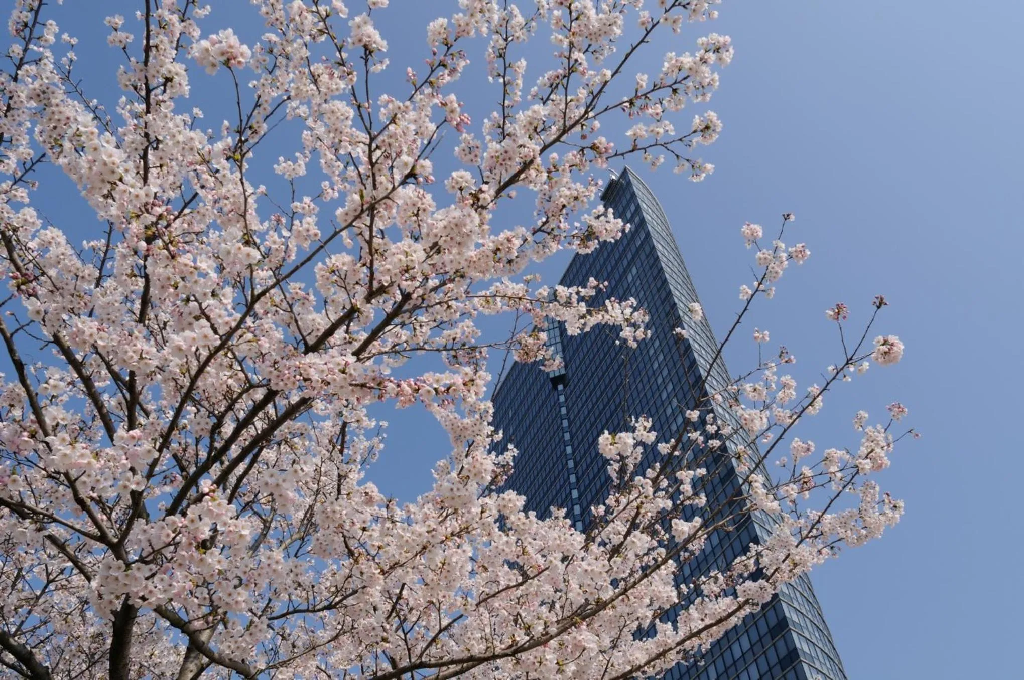Property building in Lake Biwa Otsu Prince Hotel