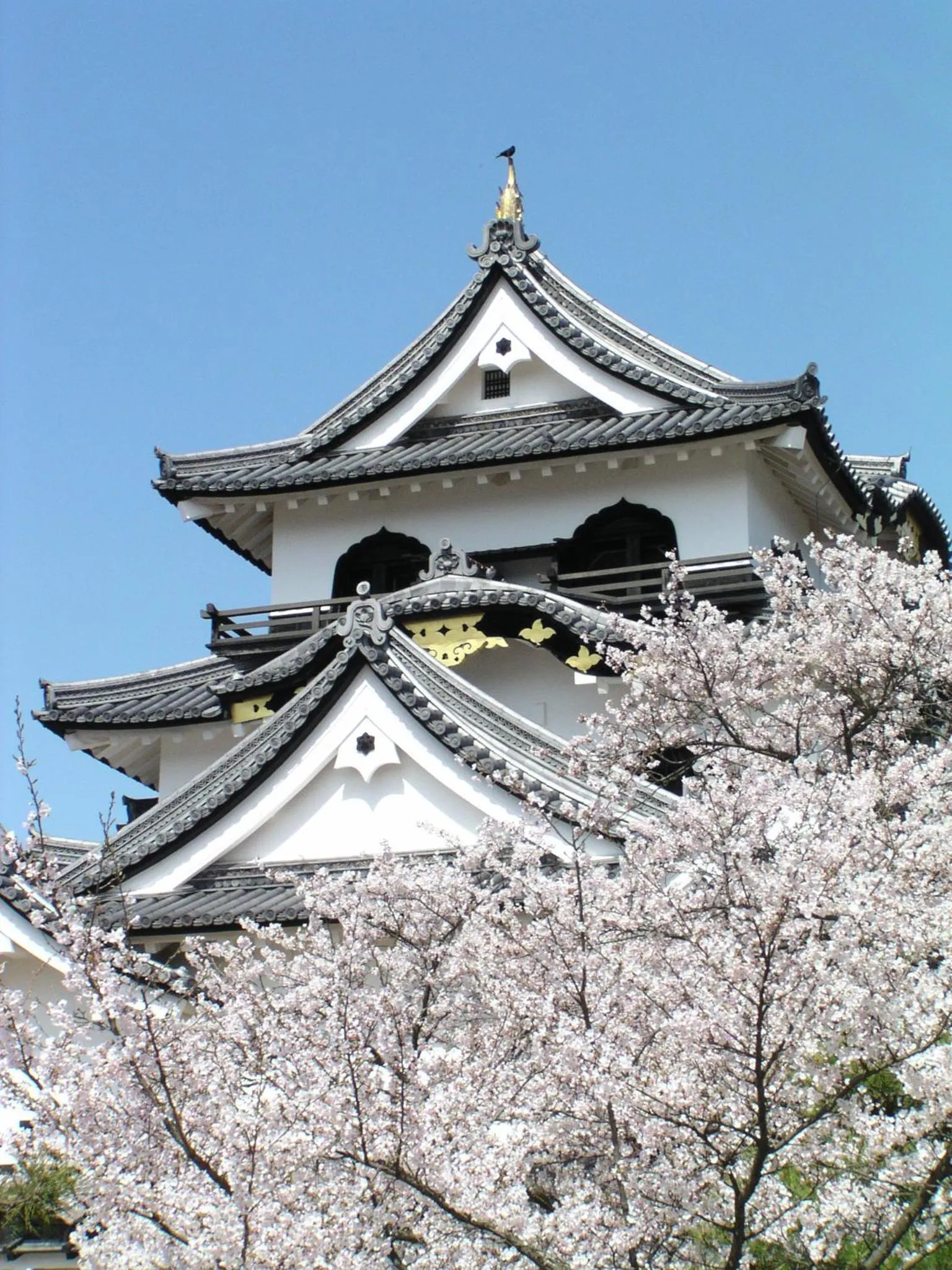 Natural landscape in Lake Biwa Otsu Prince Hotel
