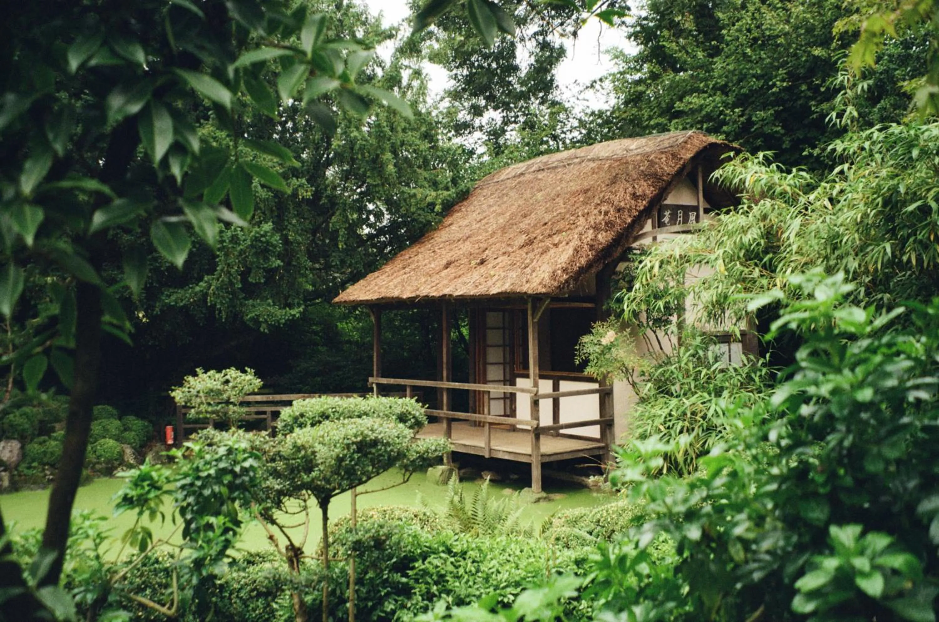 Garden in Le Manoir aux Quat'Saisons, A Belmond Hotel, Oxfordshire