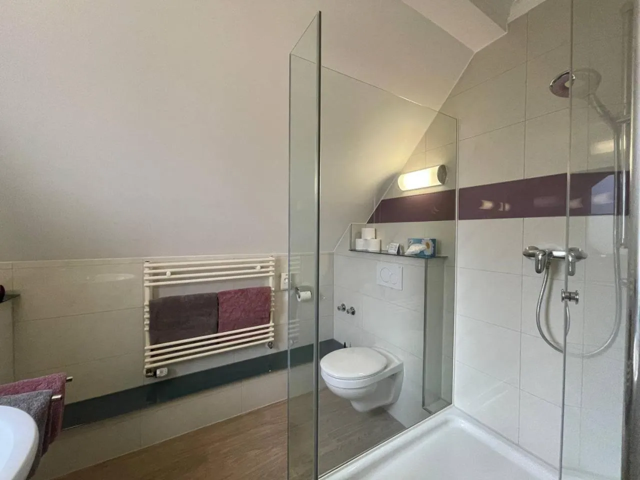 Shower in Hotel Deichvoigt