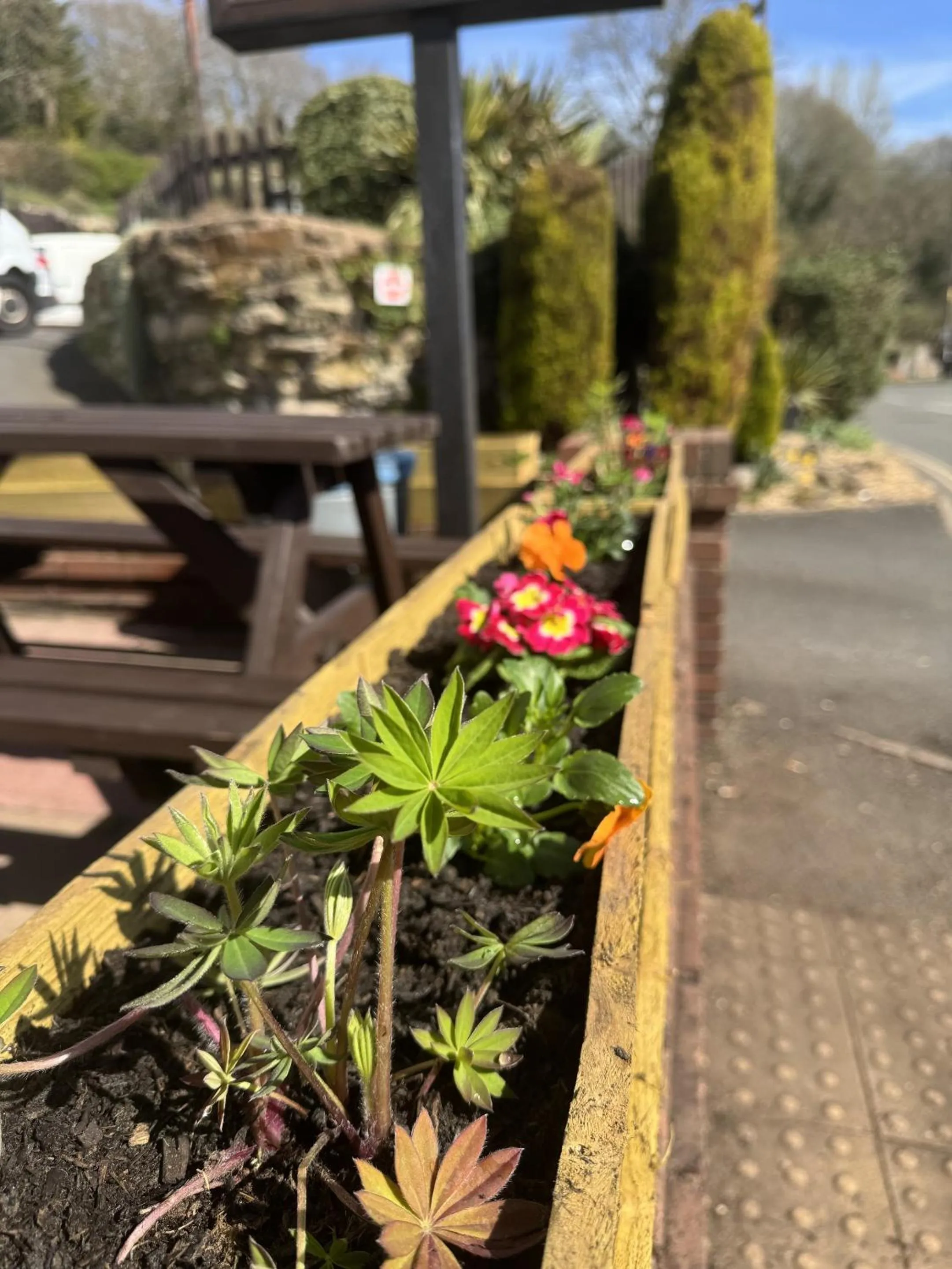 Garden in Ye Olde Robin Hood Inn