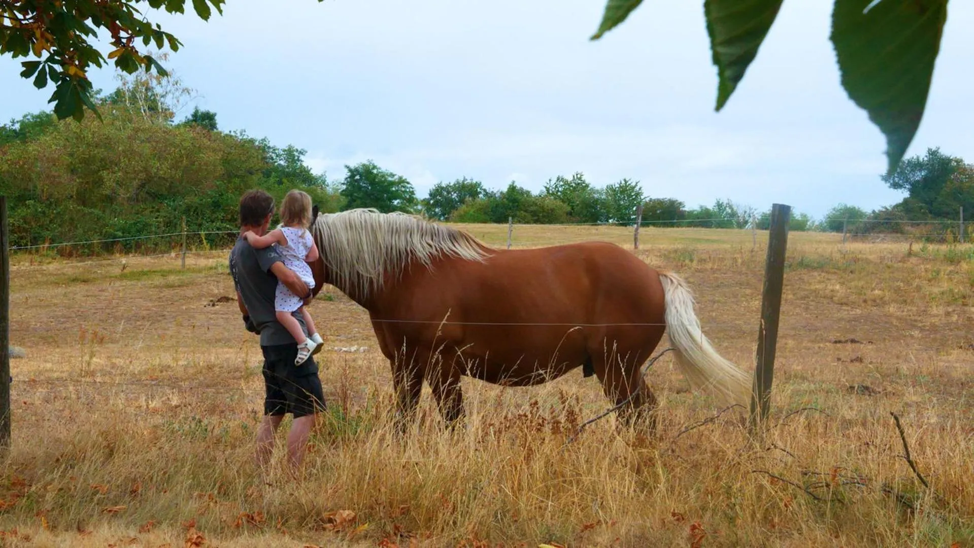 Garden view in Les Loges de l'Ecomusée D'Alsace
