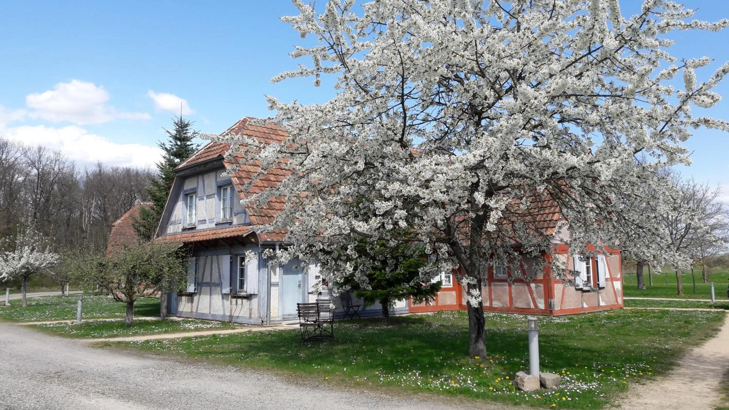 Garden in Les Loges de l'Ecomusée D'Alsace