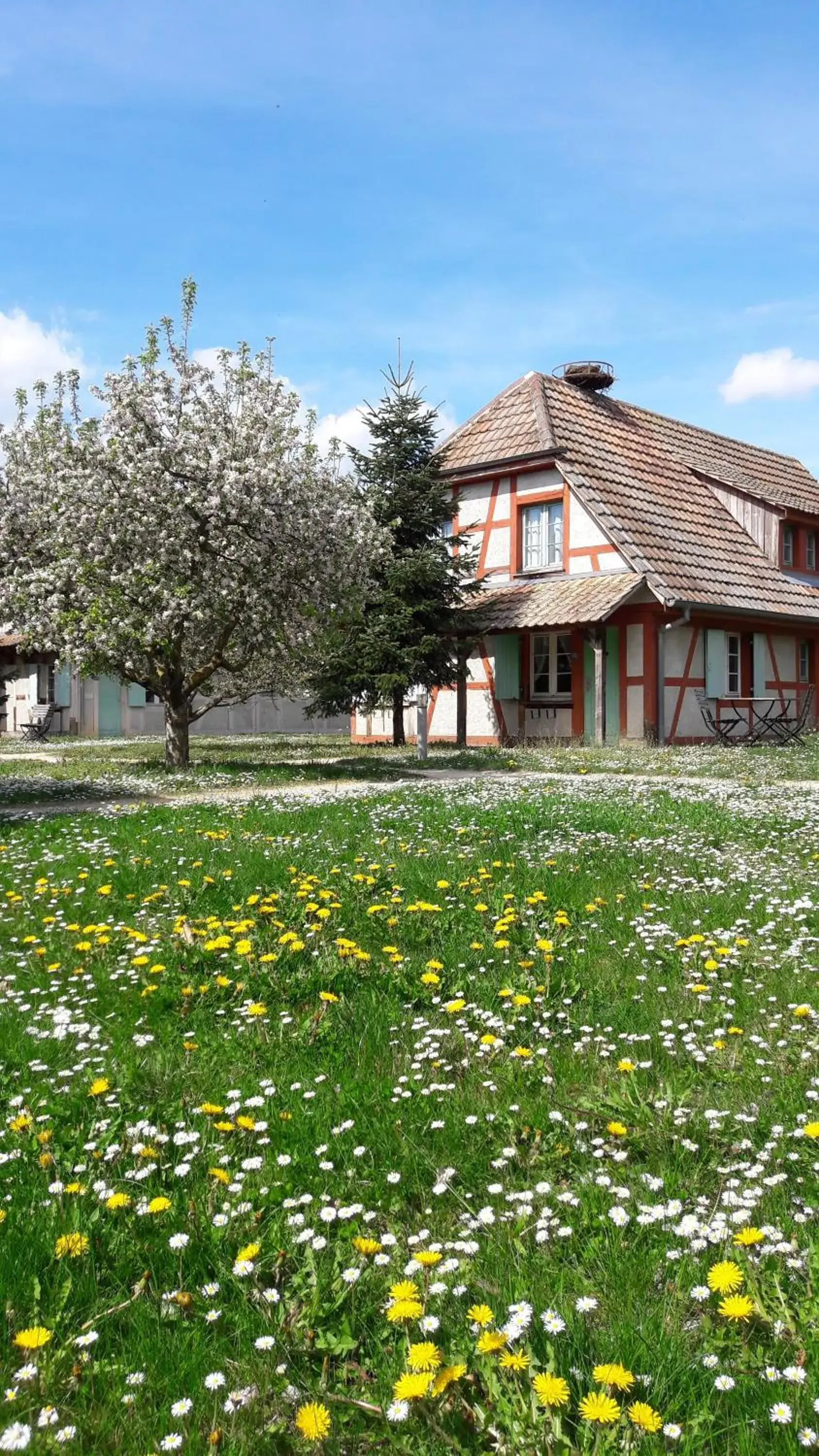 Les Loges de l'Ecomusée D'Alsace Les Loges de l'Ecomusée D'Alsace