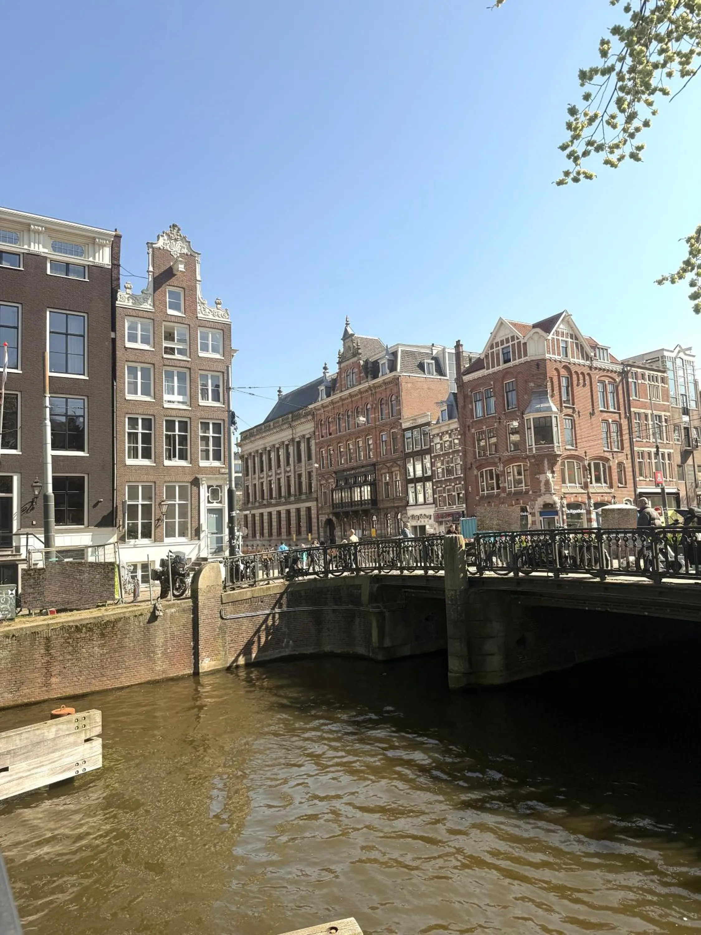 Property building in Your a Royalty - Equal Design by JoyJoyJoy - Top Floor and Top Views - Creating houses for the poor