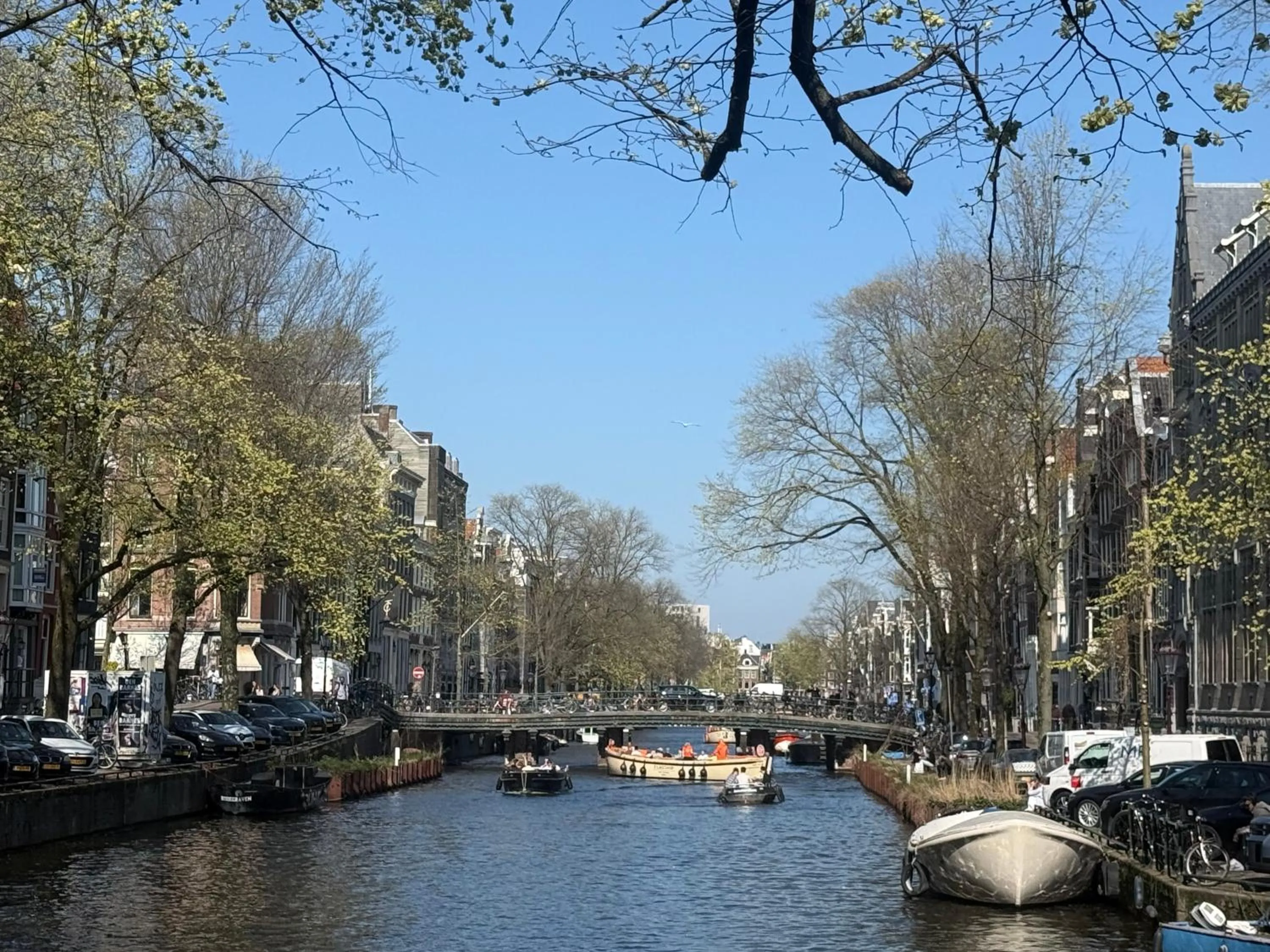 Neighbourhood in Your a Royalty - Equal Design by JoyJoyJoy - Top Floor and Top Views - Creating houses for the poor