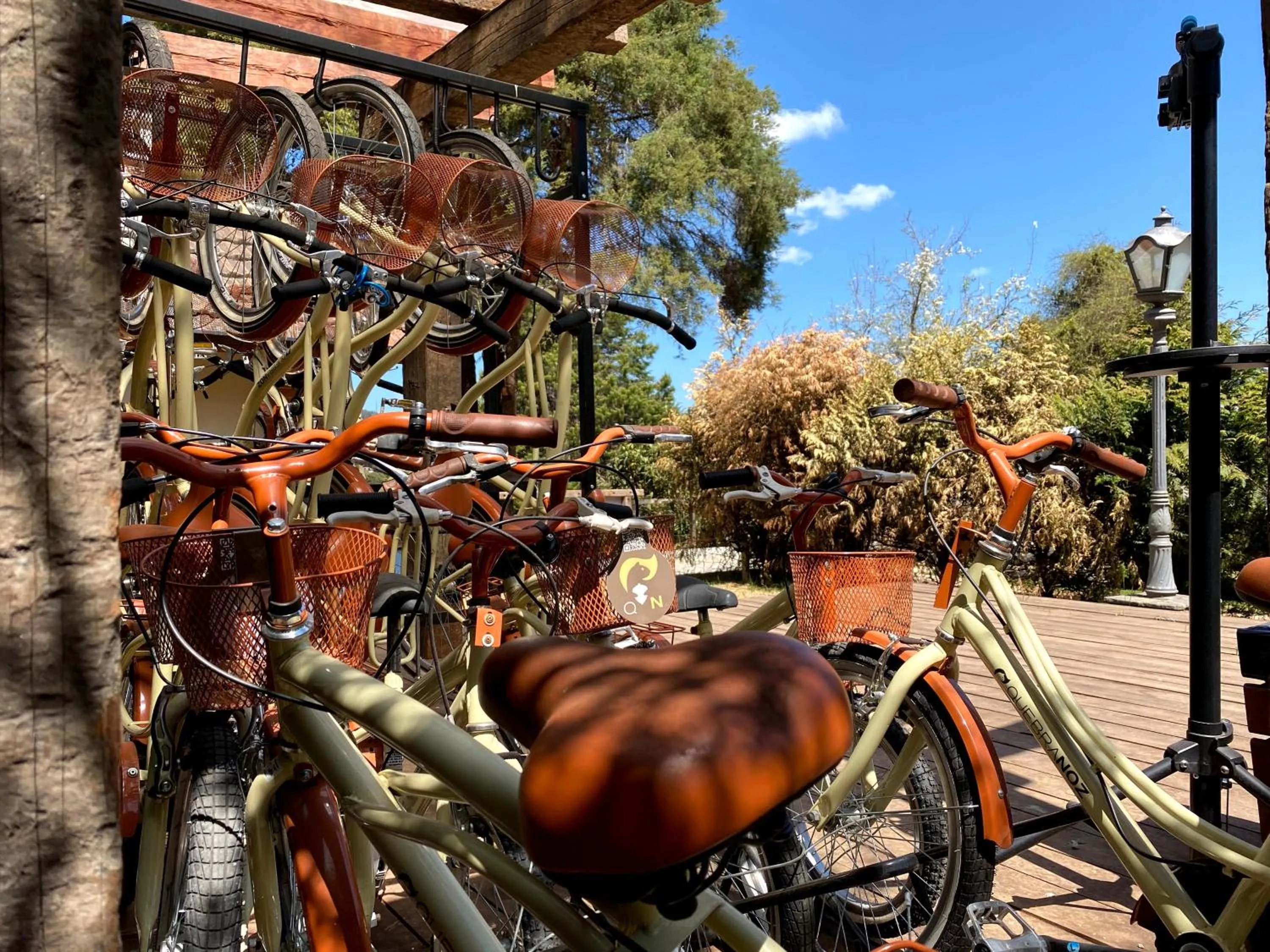 Garden in Hotel Boutique QUEBRA-NOZ