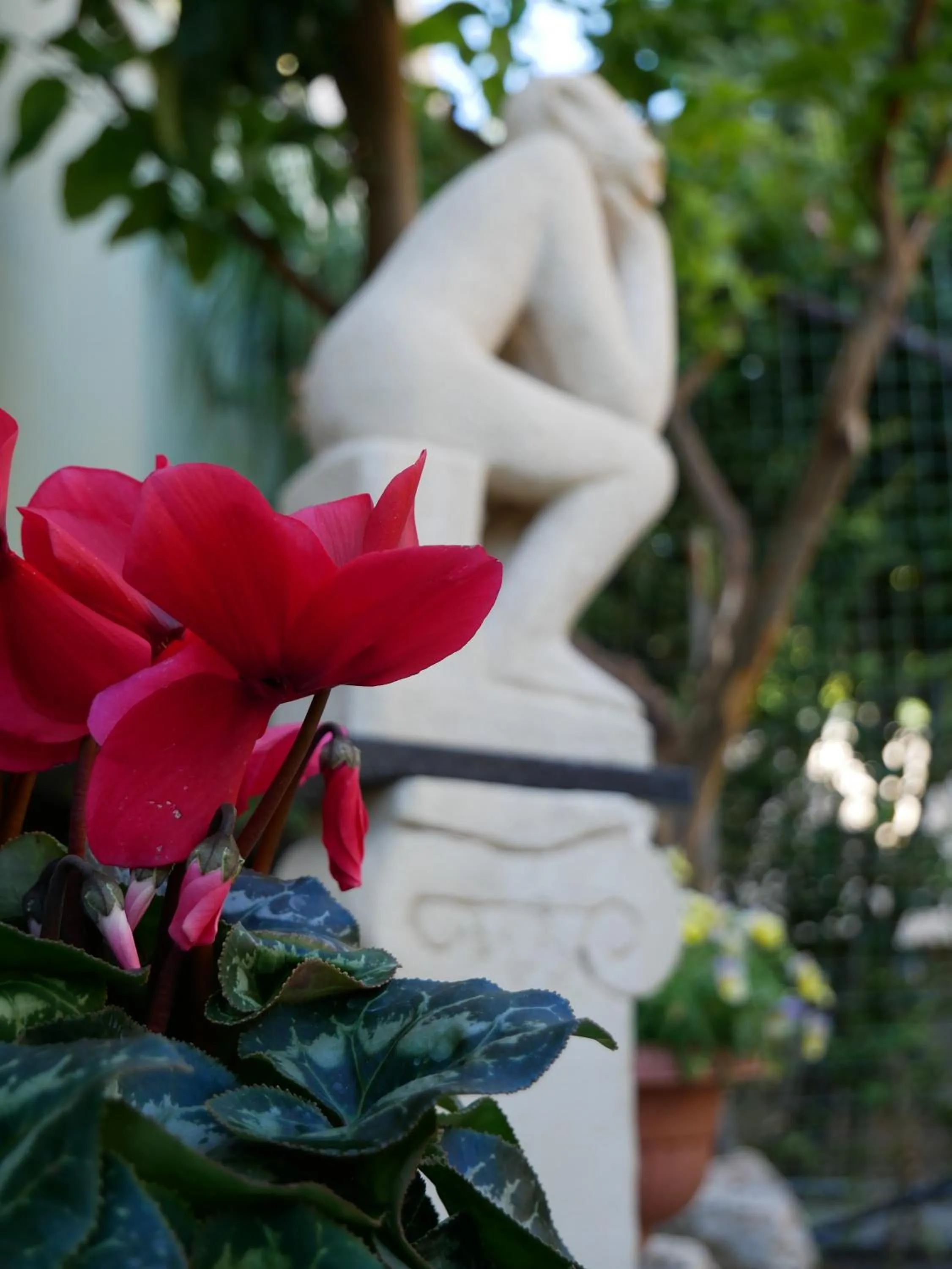 Garden in Donna Nicla B&B