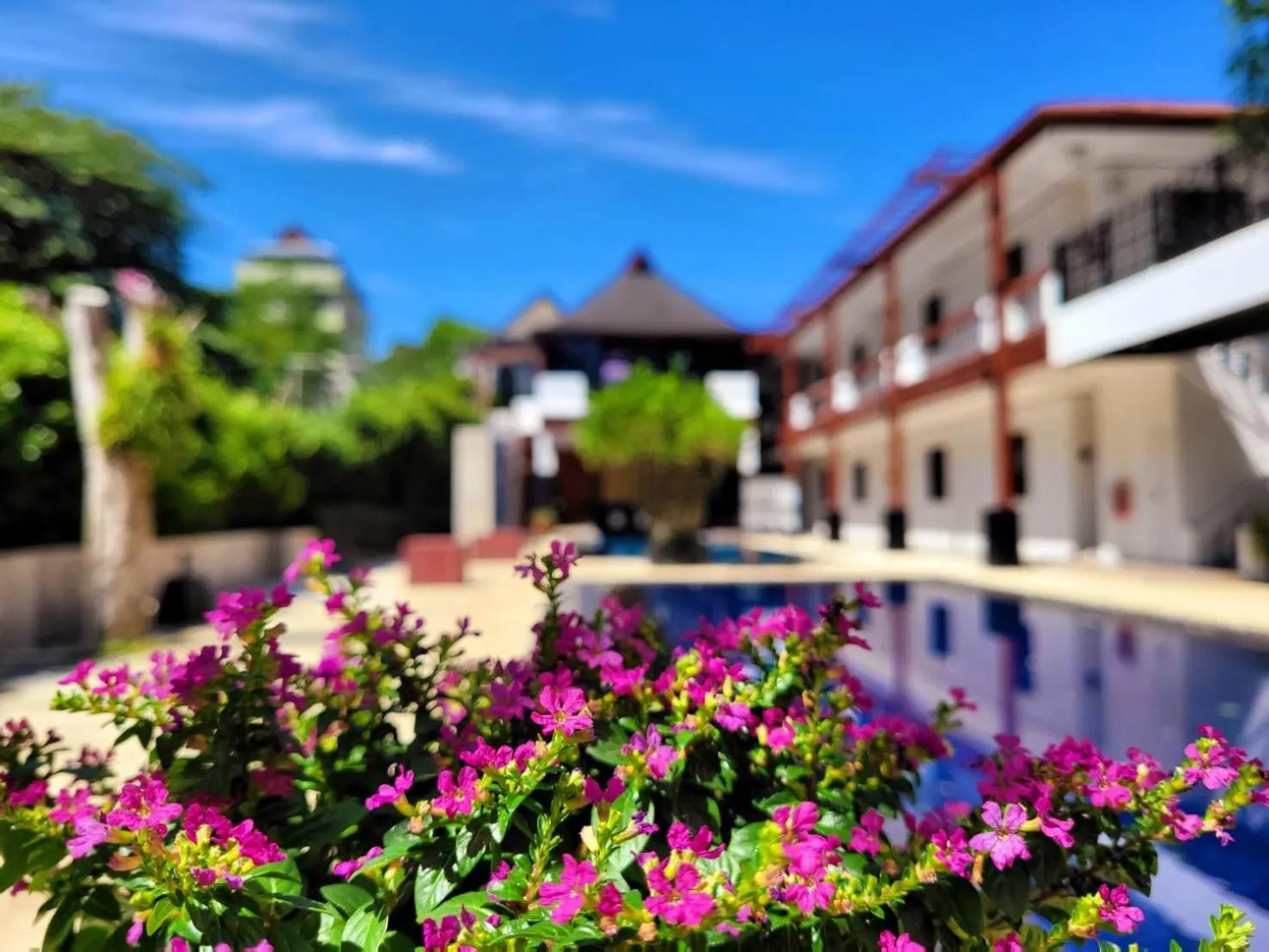 Swimming pool in Surintra Boutique Resort