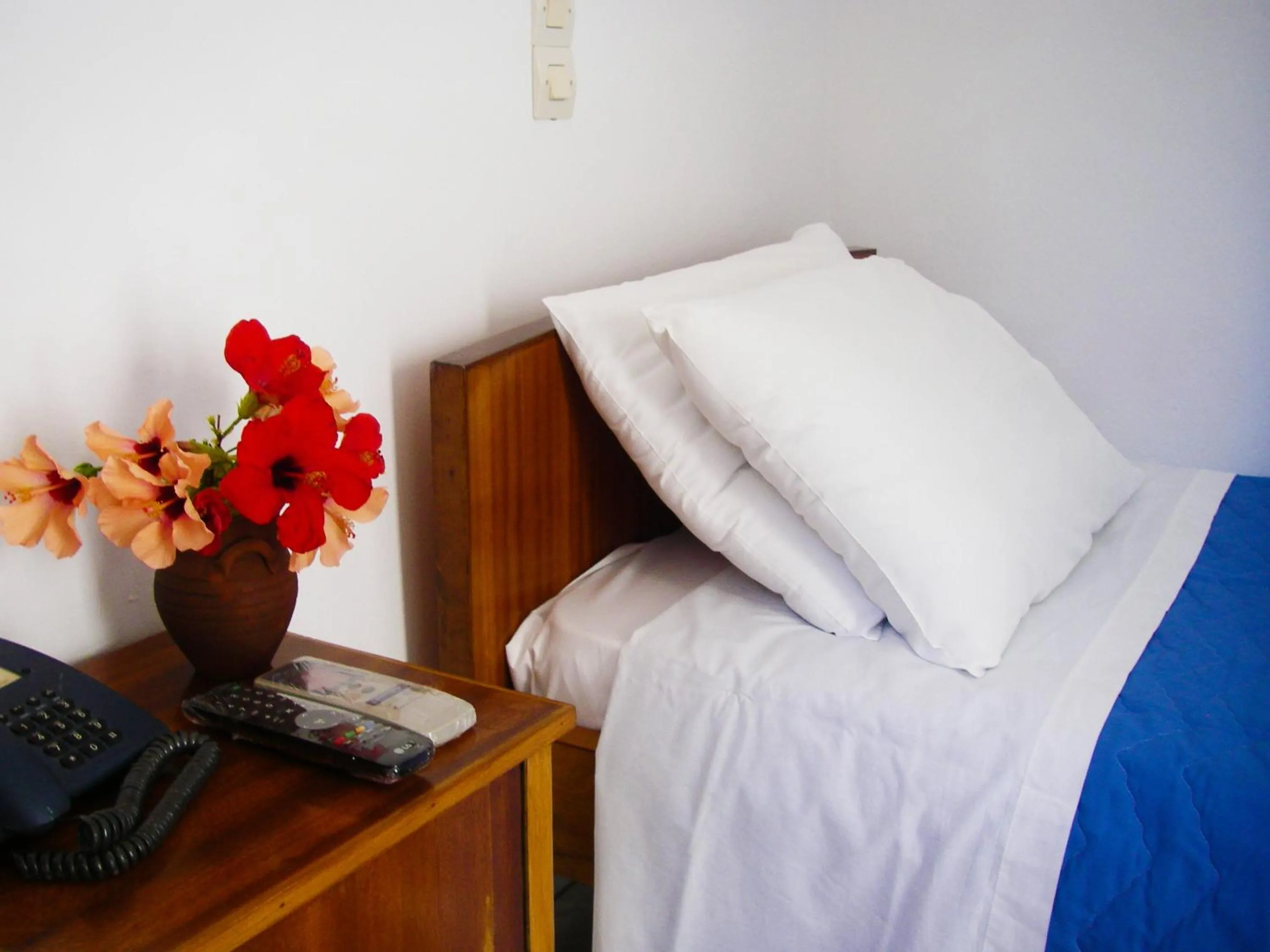 Decorative detail, Bed in Hotel Helena