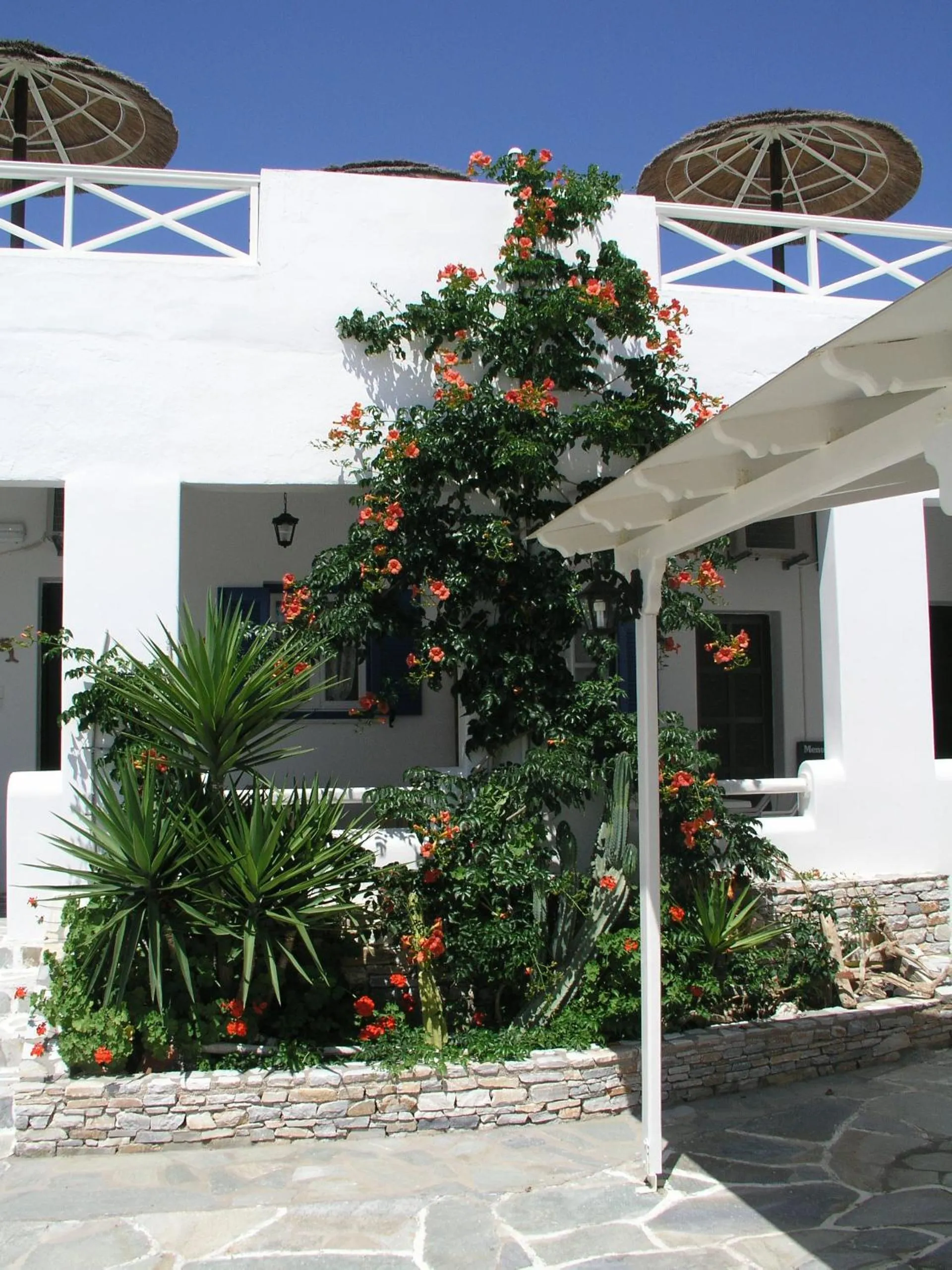 Garden in Hotel Helena