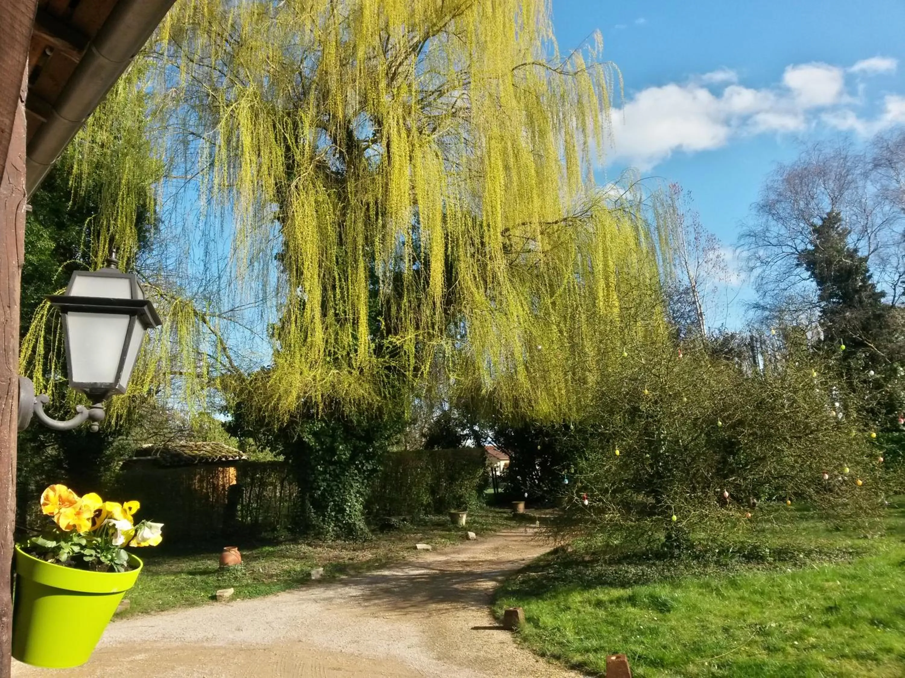 Garden view in Hostellerie Sarrasine, Mâcon Est - Teritoria