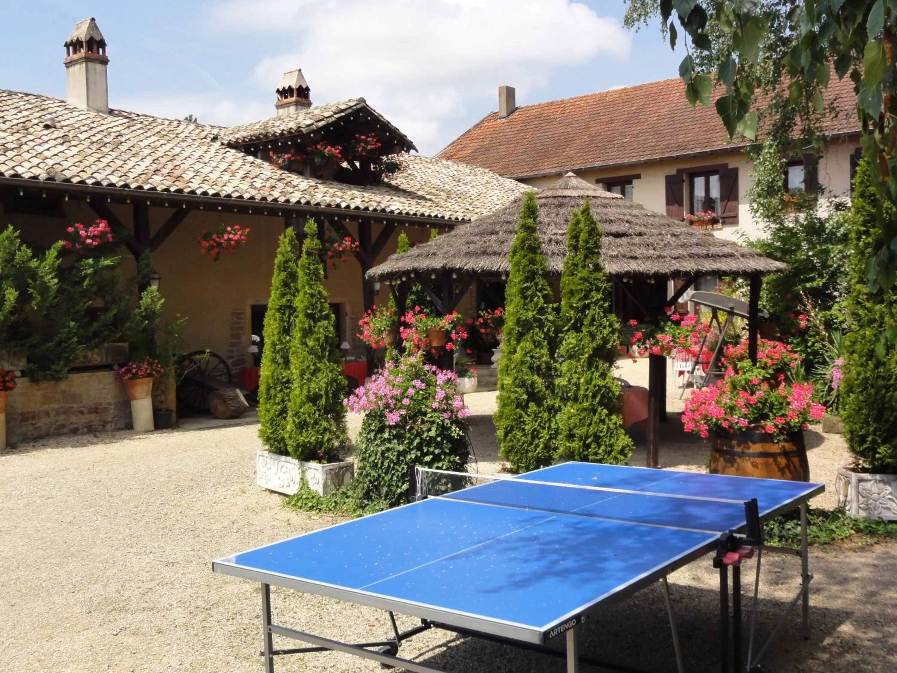 Table tennis in Hostellerie Sarrasine, Mâcon Est - Teritoria