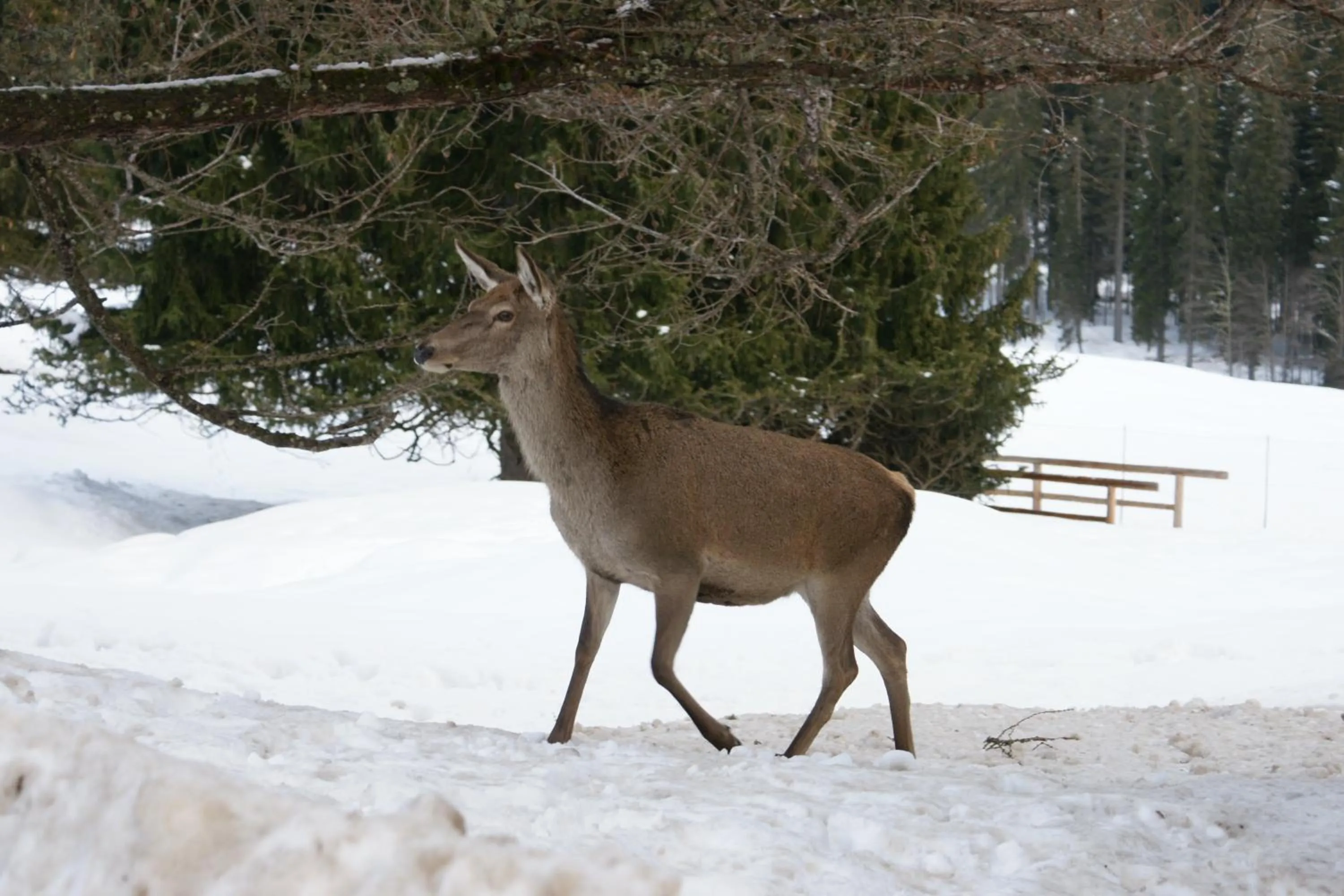 Other in Sporting Clubresidence