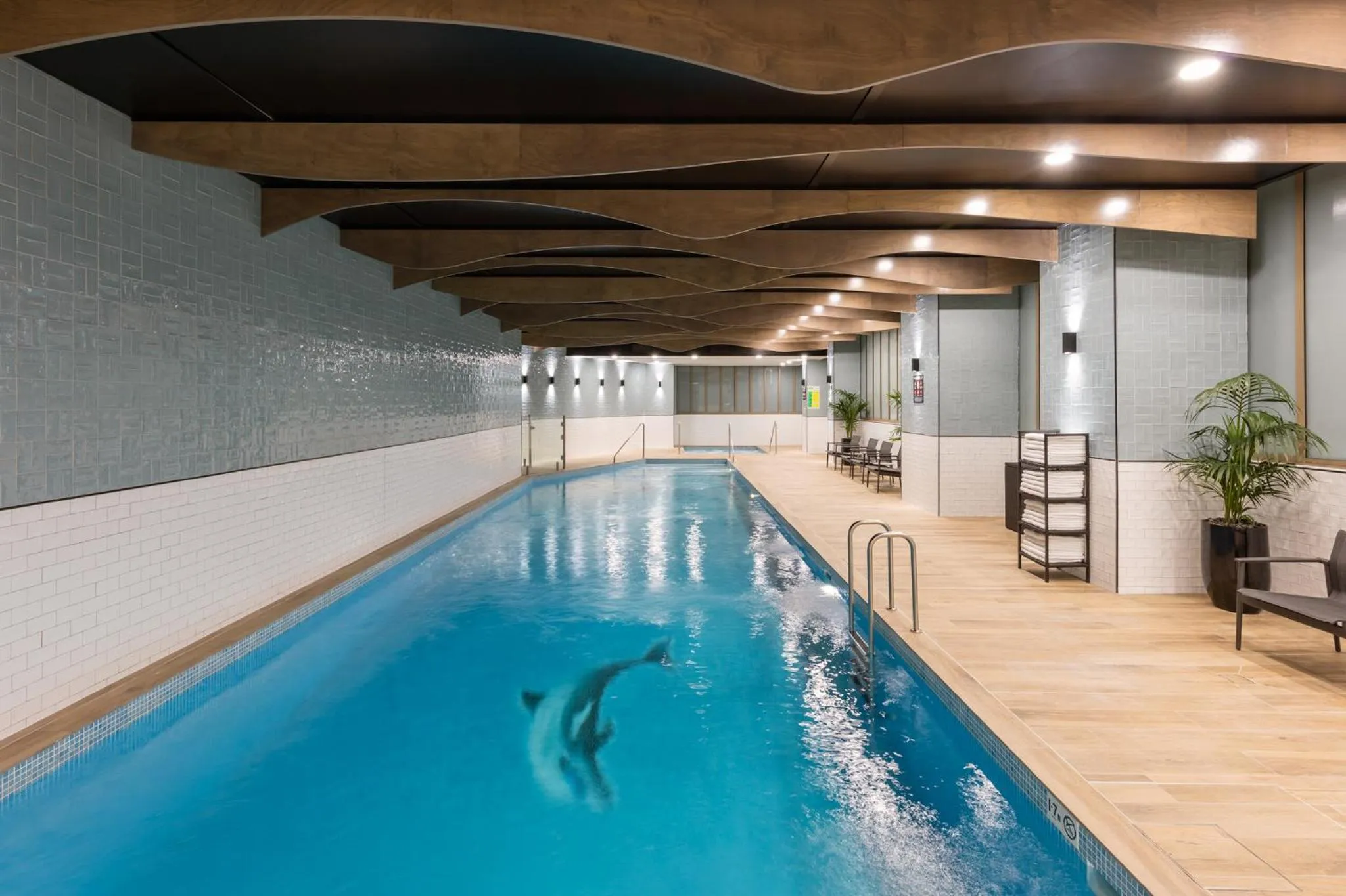 Swimming pool in Meriton Suites Sussex Street, Sydney