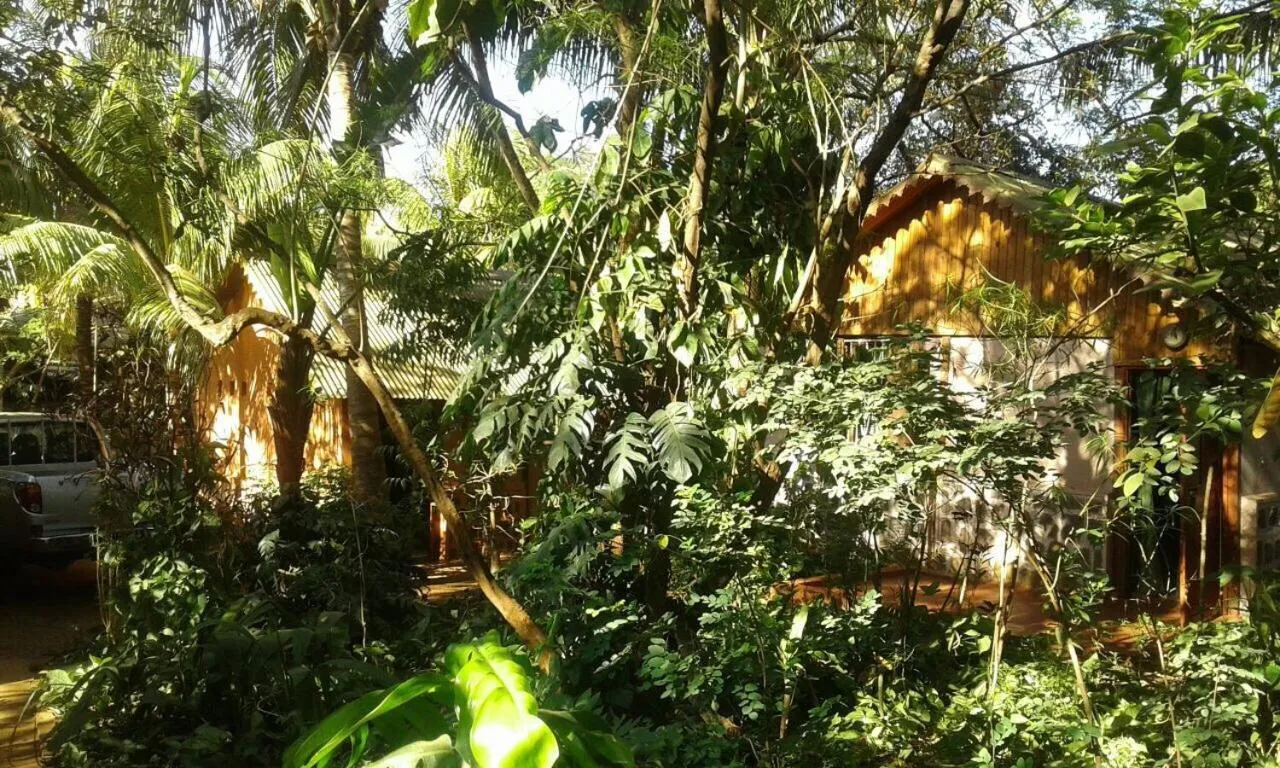 Garden in Le Village Diego