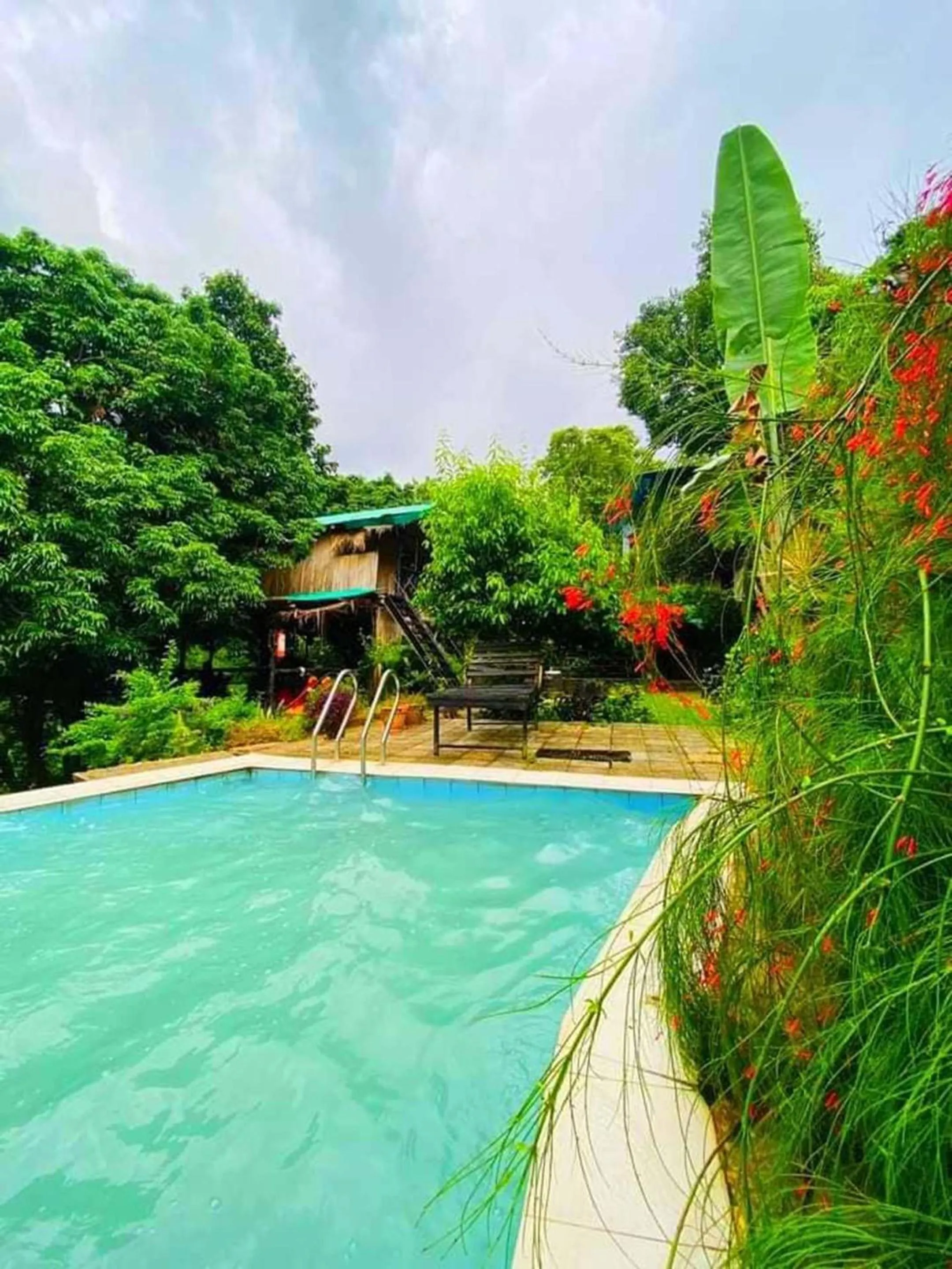Swimming pool in Bono Nibash Hill Resort