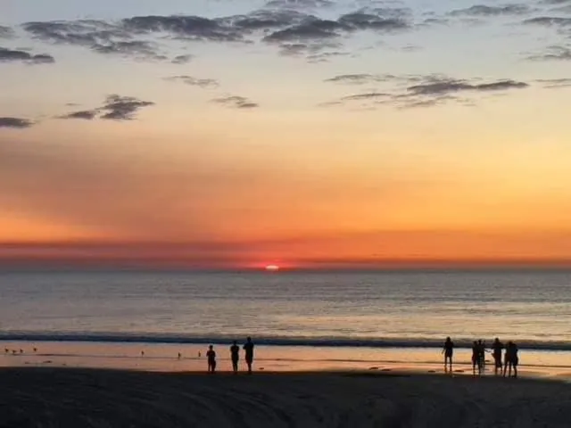 Natural landscape in Moana Beach Tourist Park