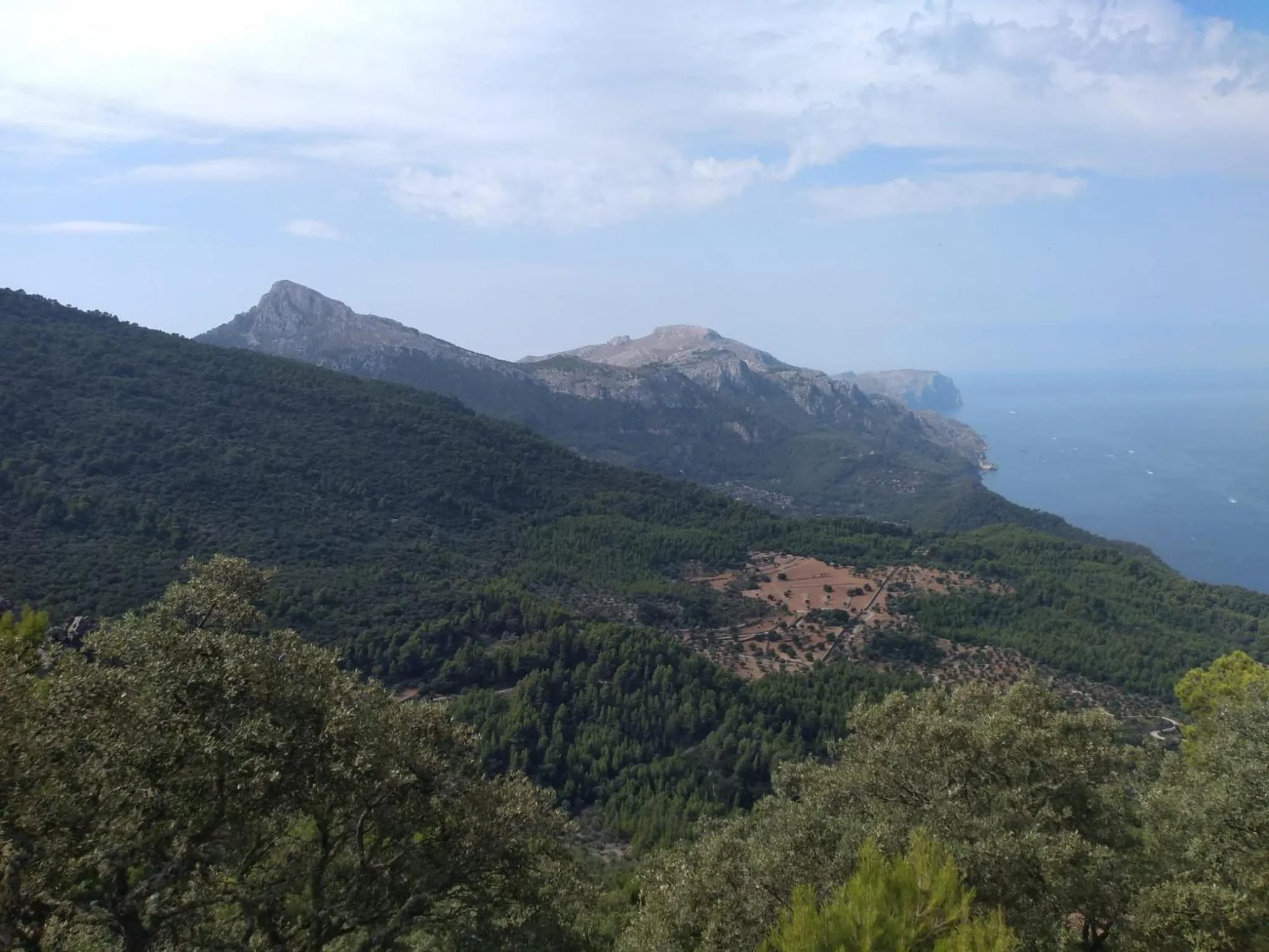 Natural landscape in Sa Plana Petit Hotel