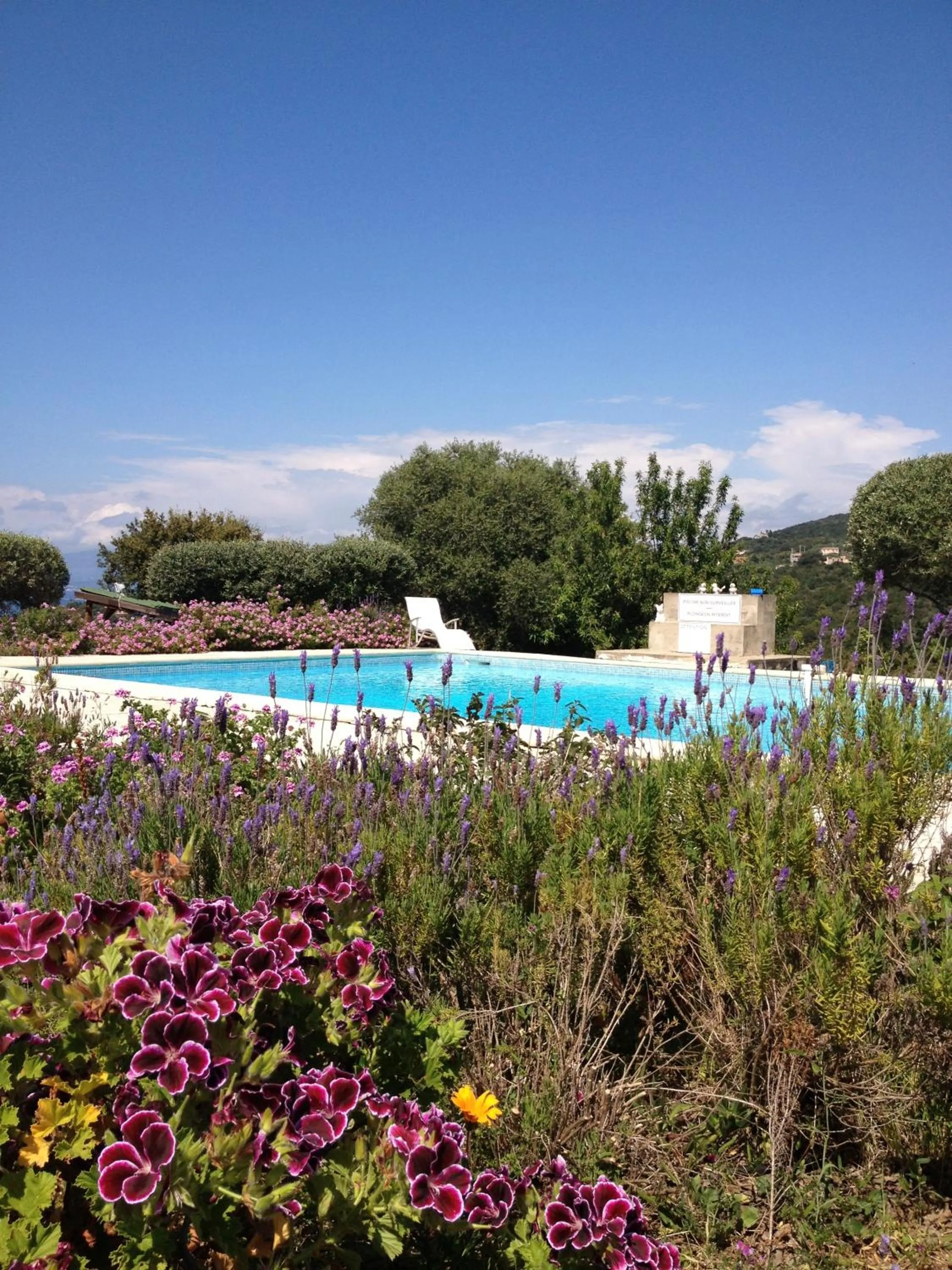 Swimming pool in Hotel Celine