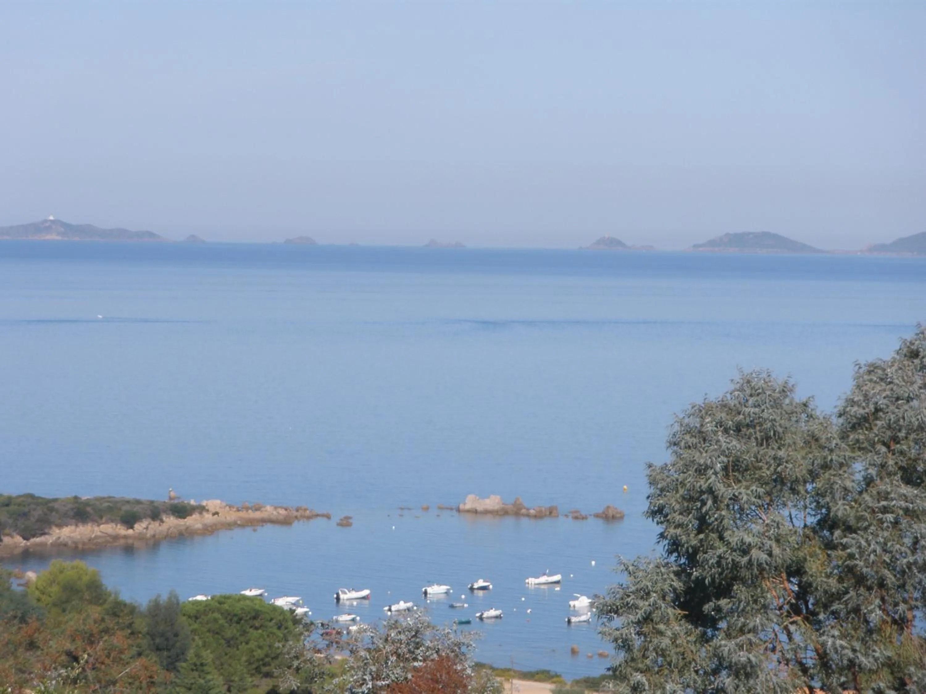 View (from property/room) in Hotel Celine