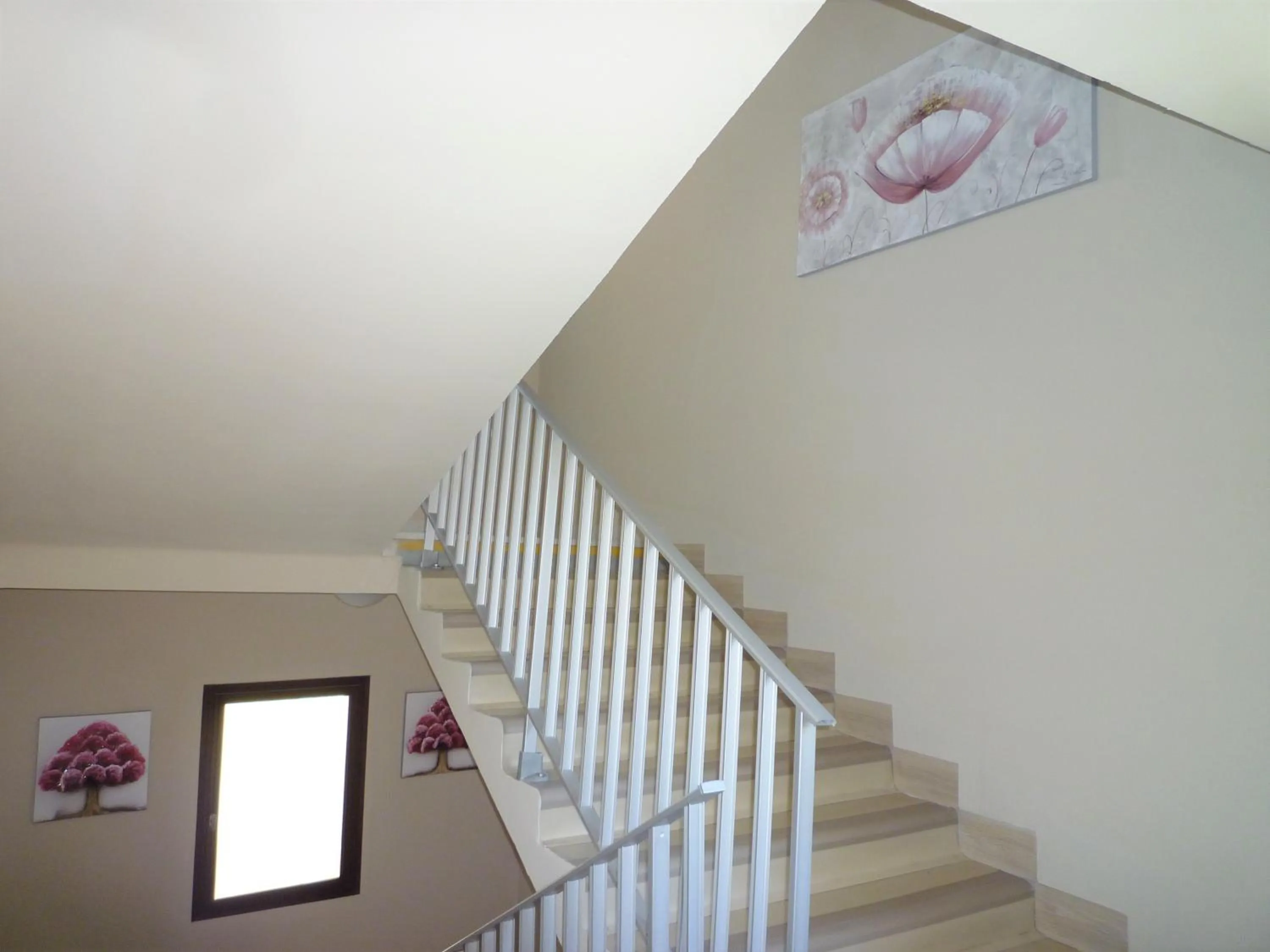 Area and facilities in Hotel Celine