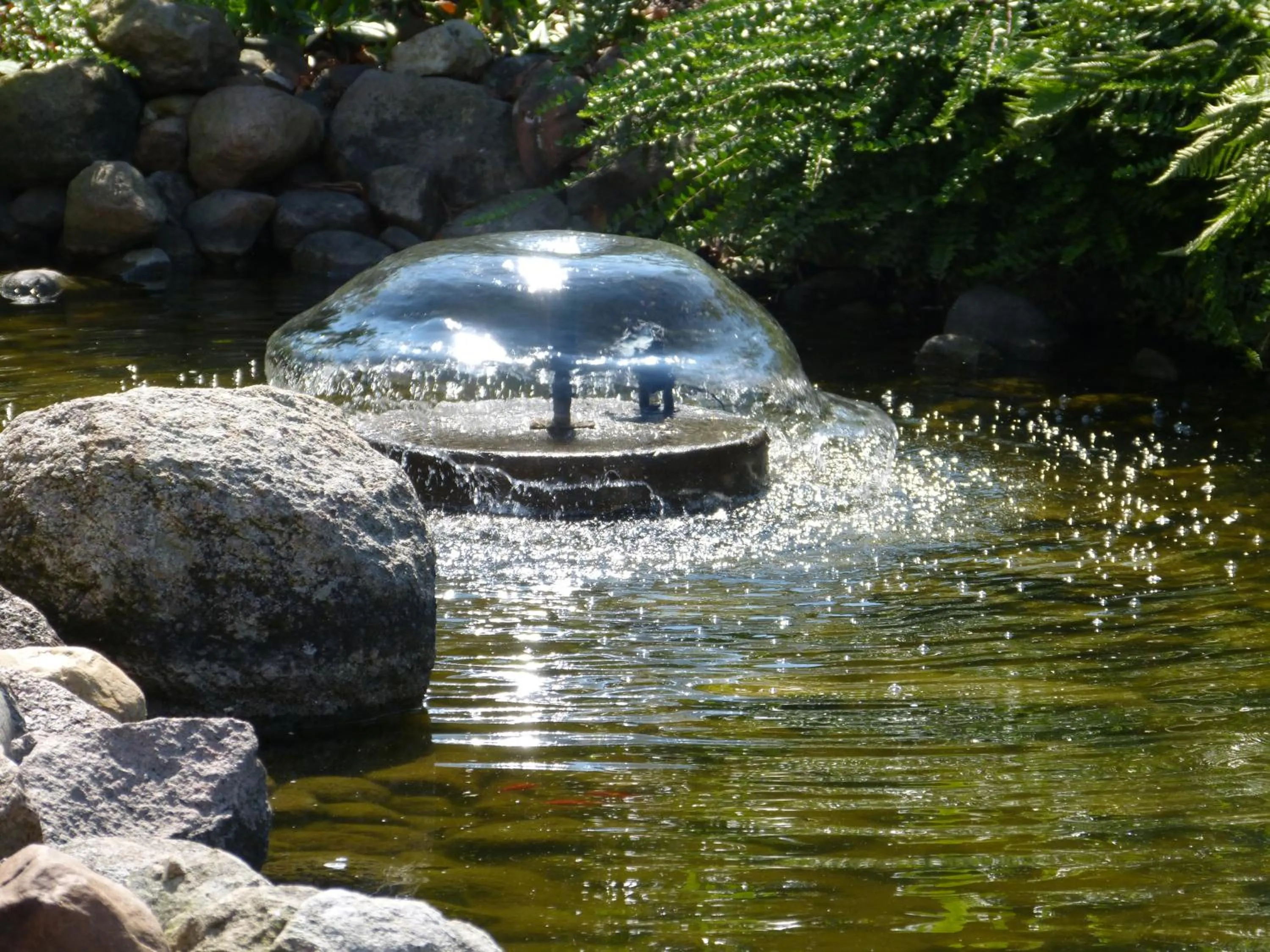 Natural landscape in Hotel Evering