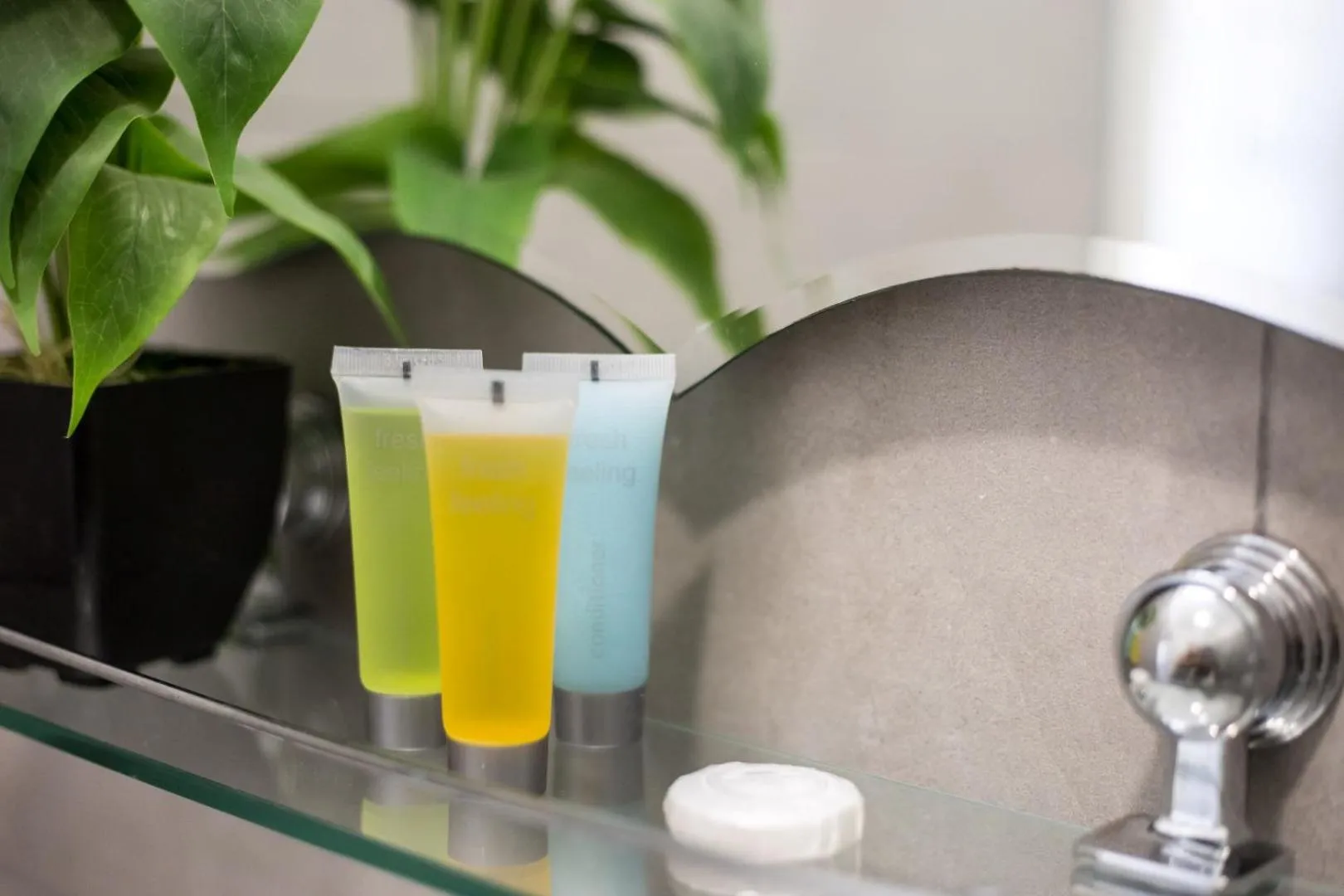 Rimon Cyprus Israeli Kosher Rooms