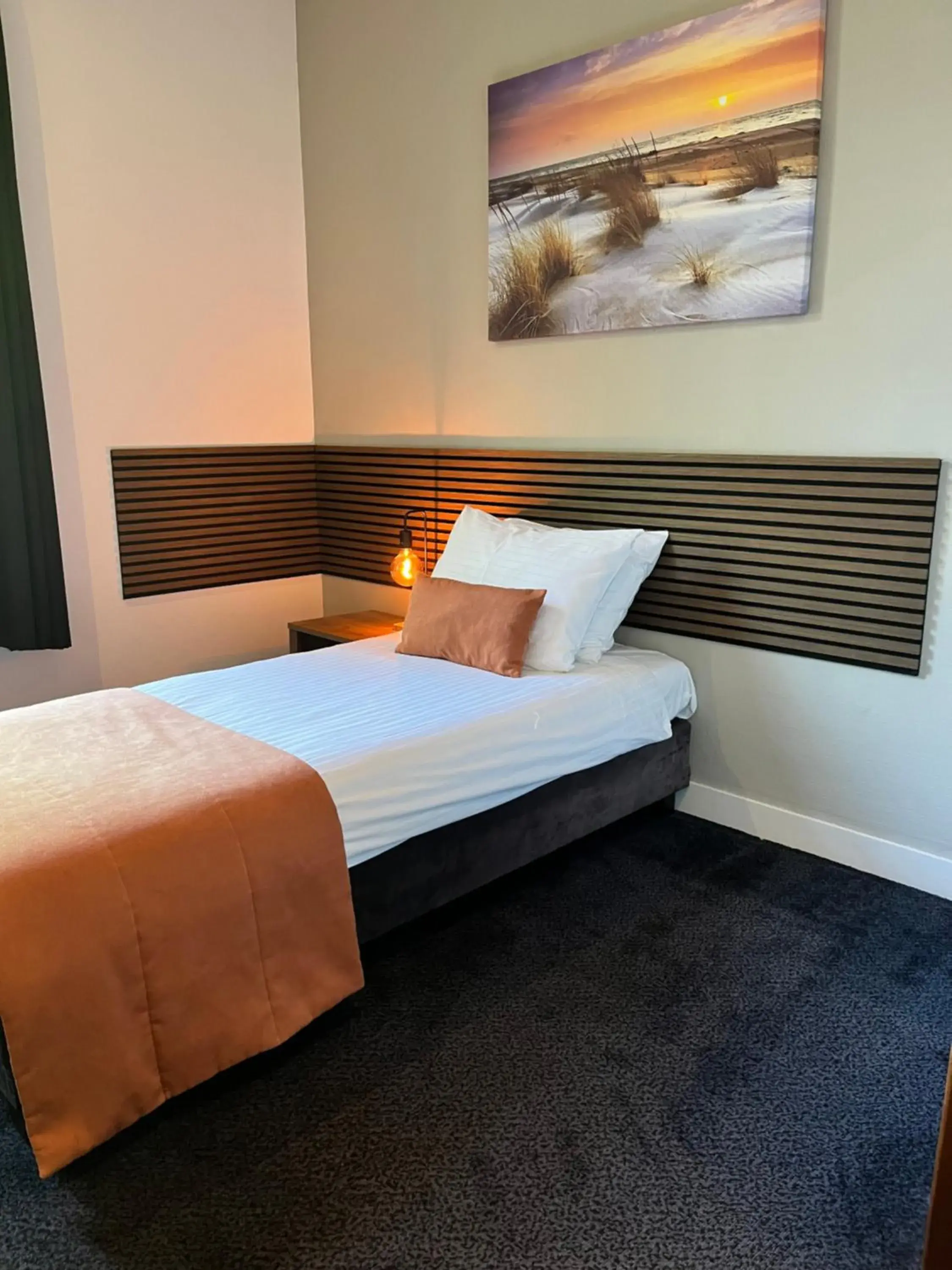 Standard Single Room in Hotel De Roode Leeuw Terborg Standard Single Room in Hotel De Roode Leeuw Terborg