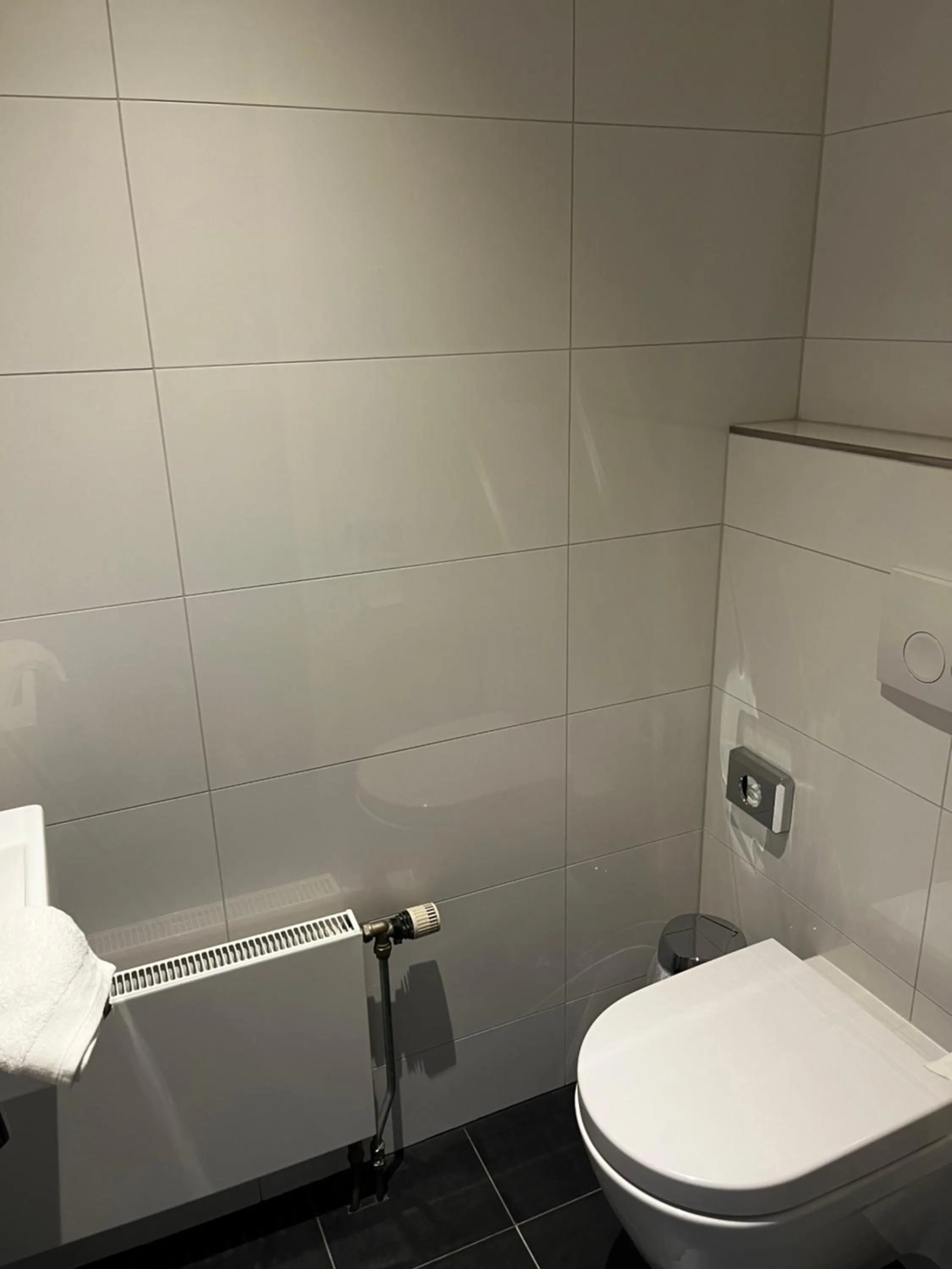 Toilet in Hotel De Roode Leeuw Terborg