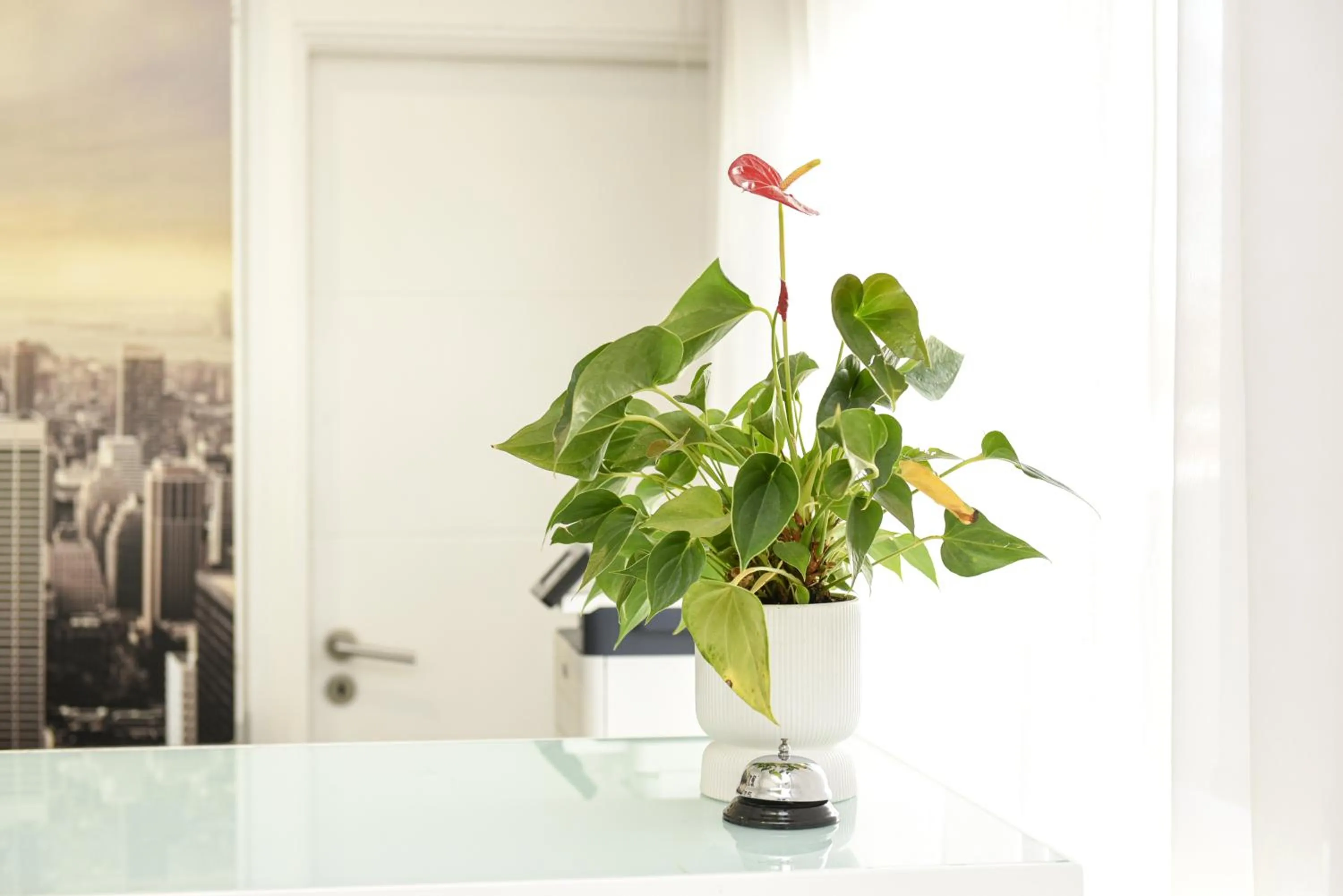 Lobby or reception in Dom Joao Hotel