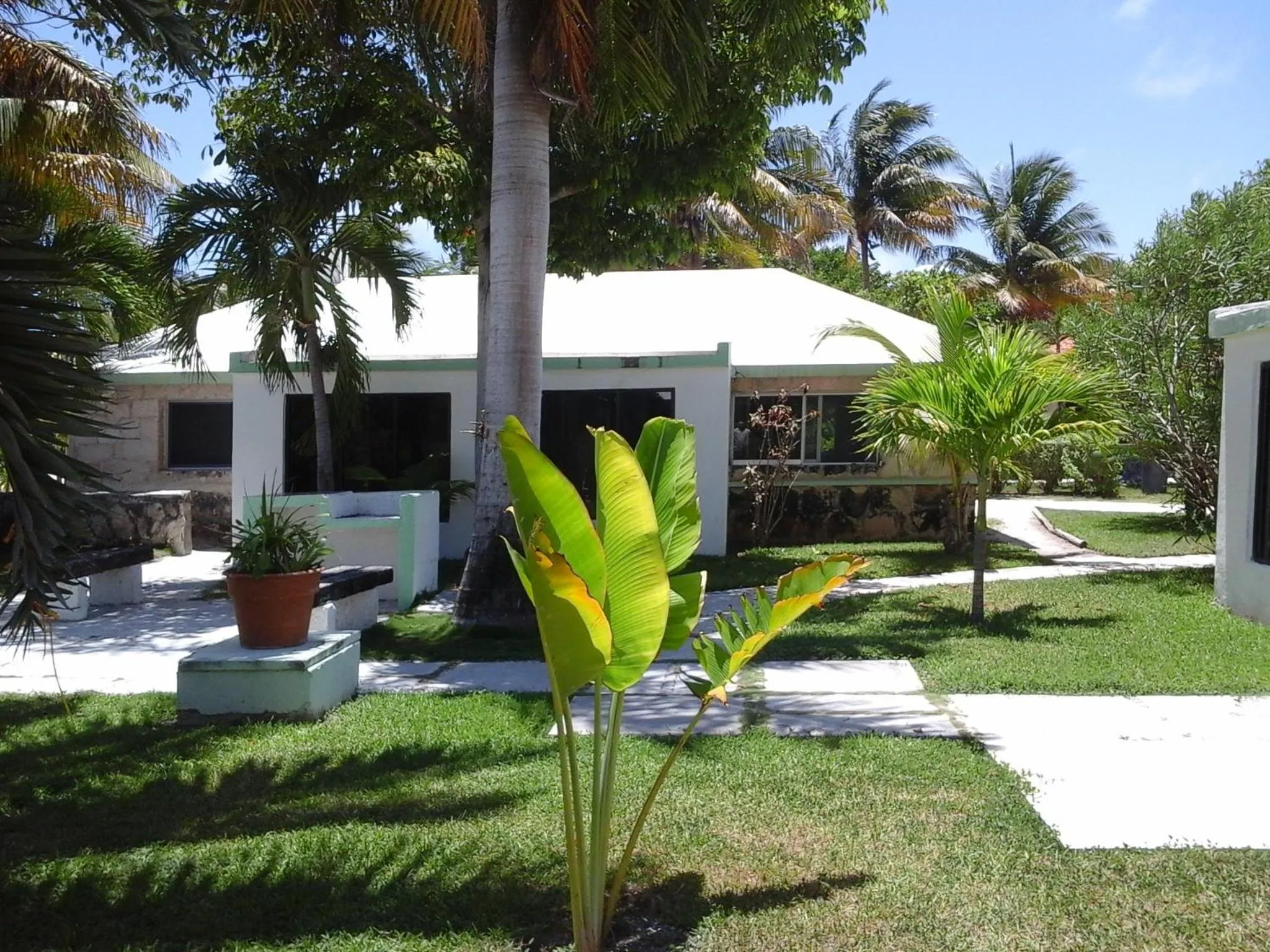 Garden in Hotel Club Akumal Caribe