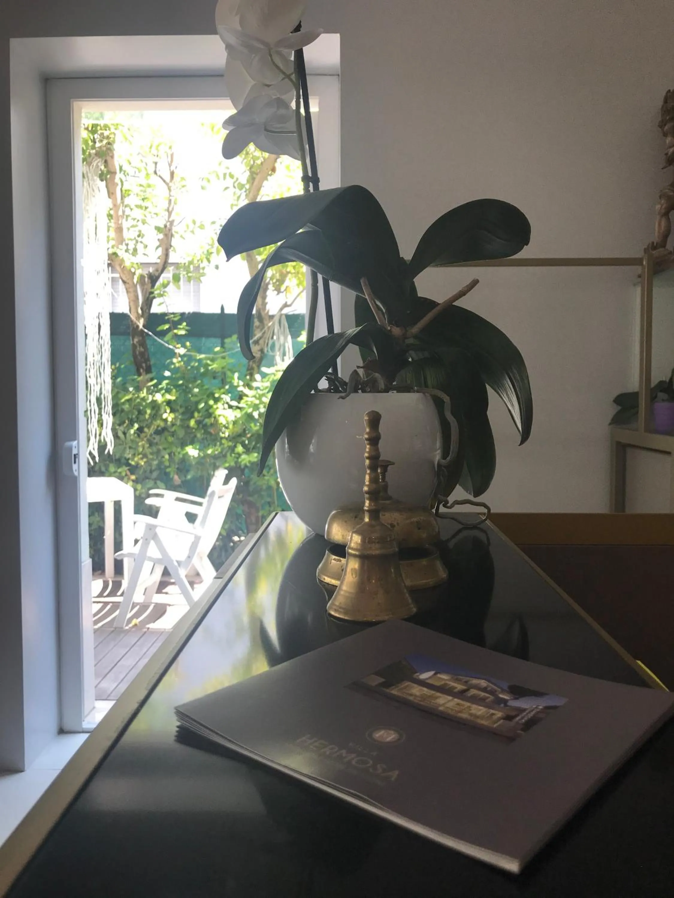 Lounge or bar in Hotel Villa Hermosa